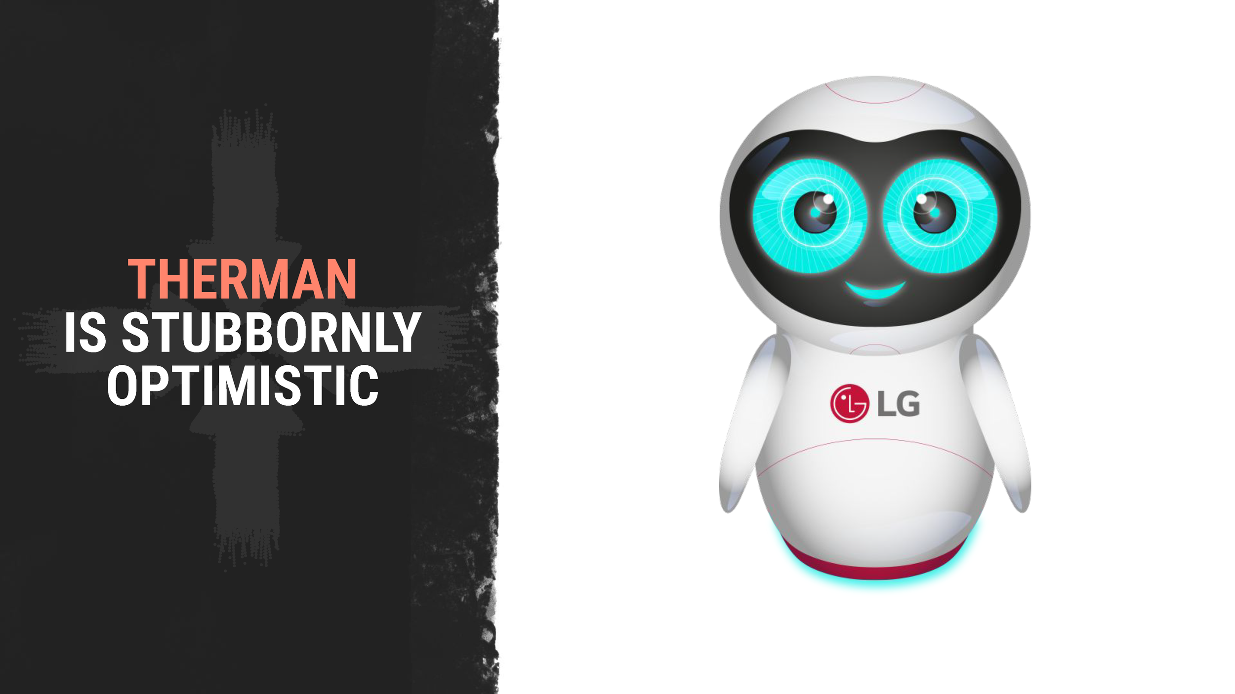 Copy of LG_THERMA_V_PITCH_DECK_Page_41.png