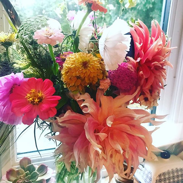 Thank you so much @majesticbus @laylarobinsondesign I just LOVE them. The epitome of a beautiful bunch of flowers 💐 #homegrownflowers #naturalweddingflowers #dahlia #stunningflowers