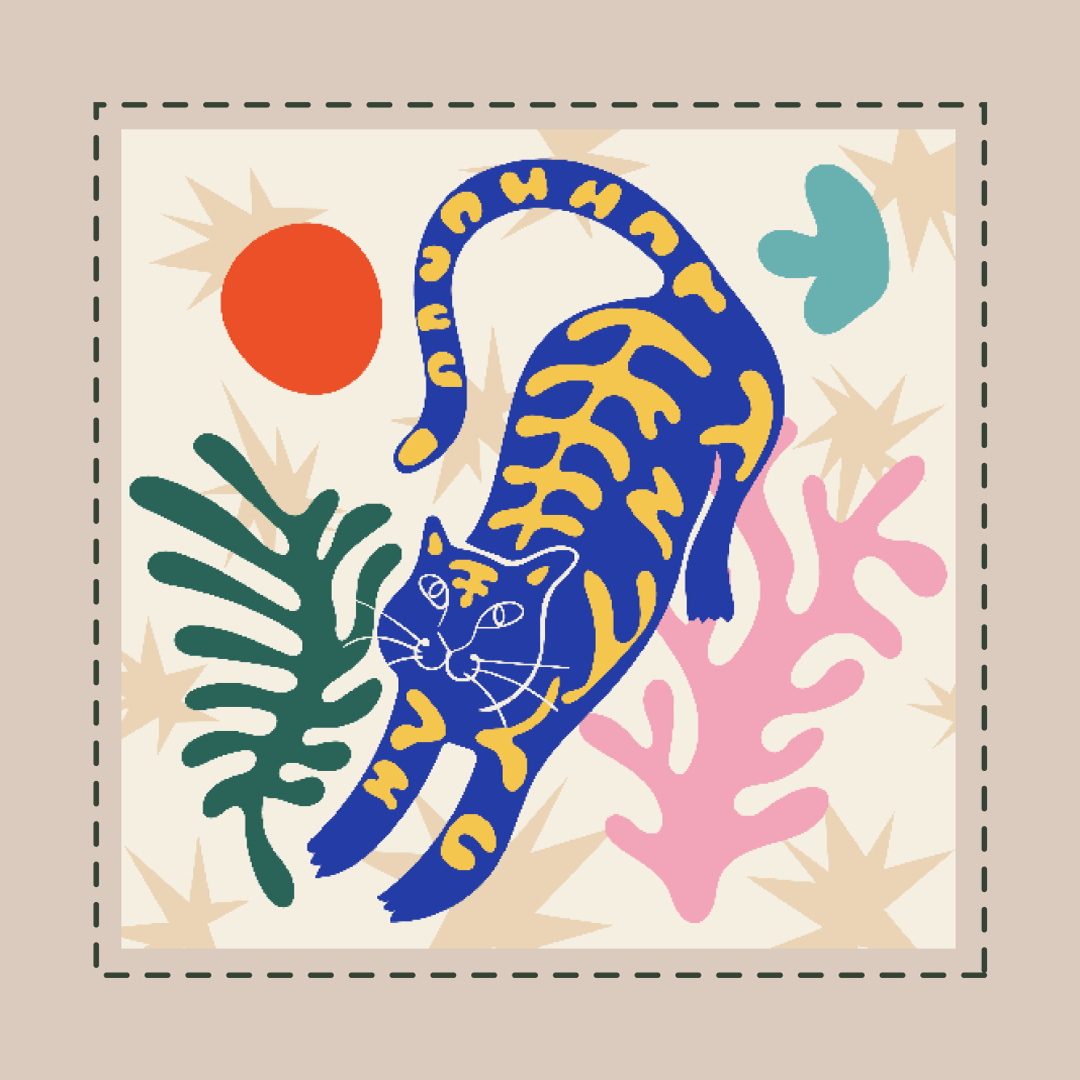 Adobe Illustrator 6 week Evening Class