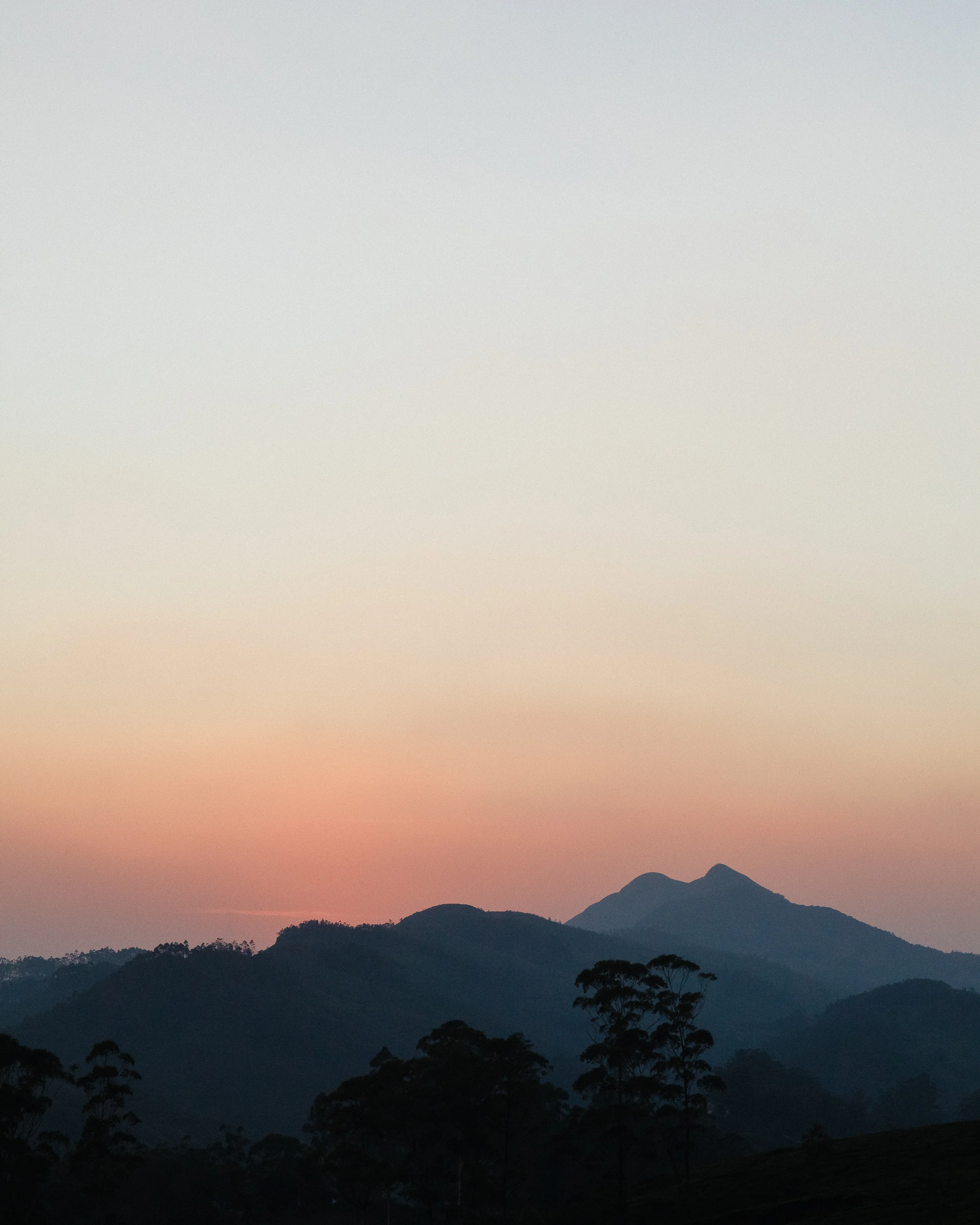 kerala_munnar_india_132.jpg
