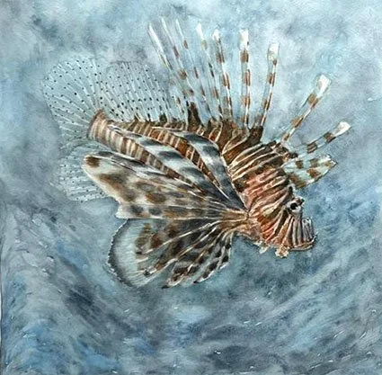 Lion Fish Graham S.jpg