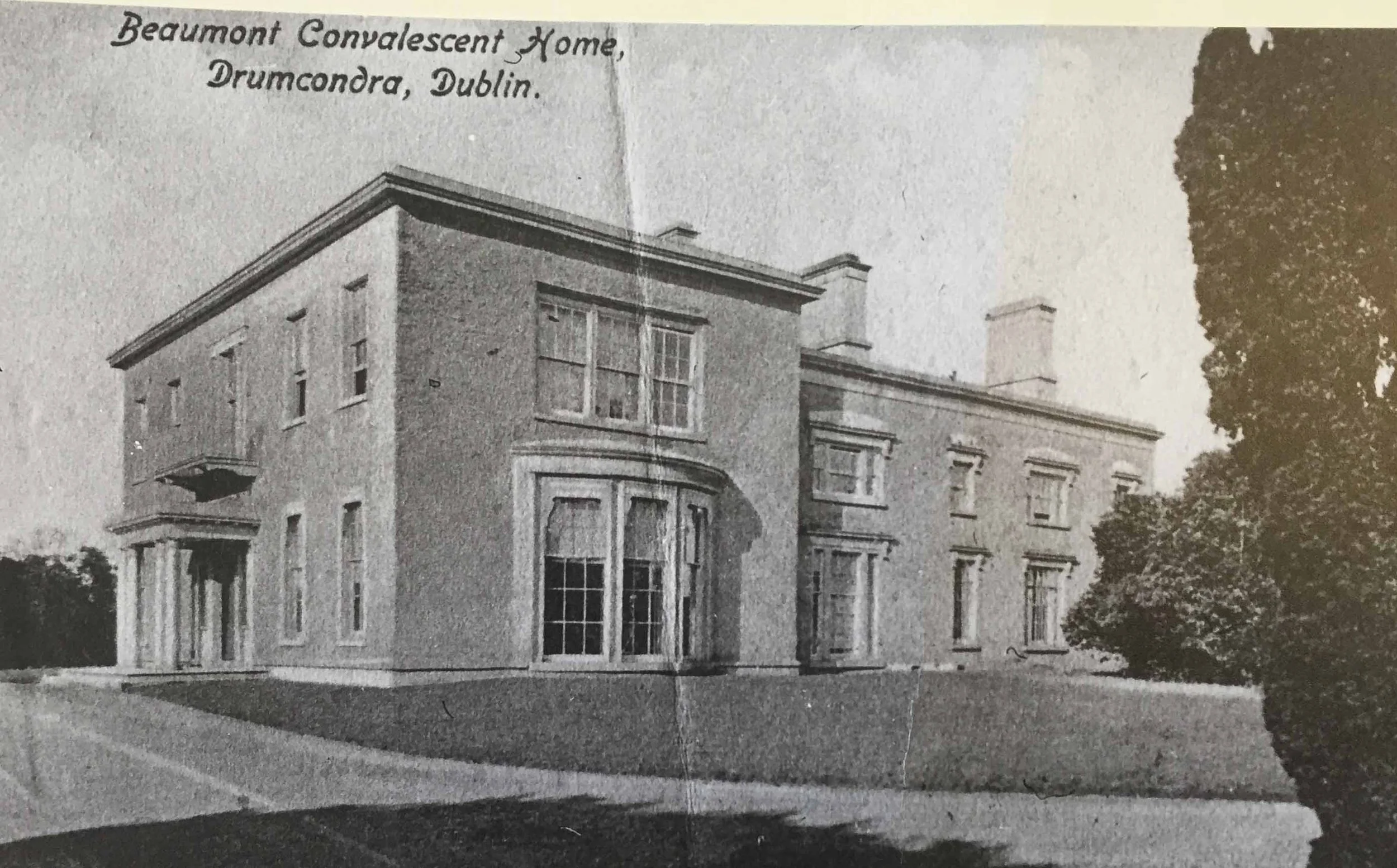 IMG_4599 rotate crop.jpg