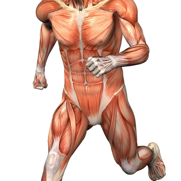 prp_treatment.jpg