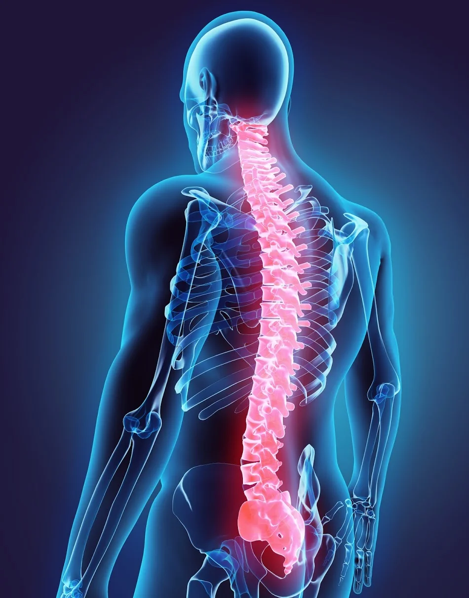 Spine Patient Outcomes.