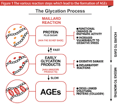 glycation process.png