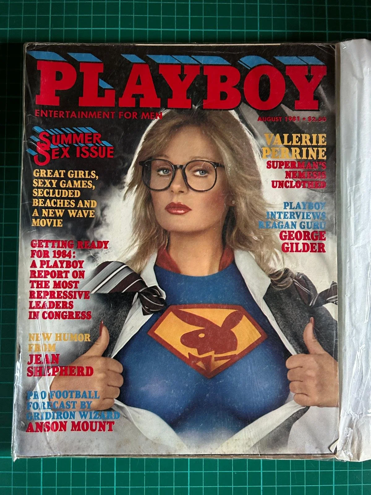 PLAYBOY  AUGUST 1981  SUMMER SEX ISSUE