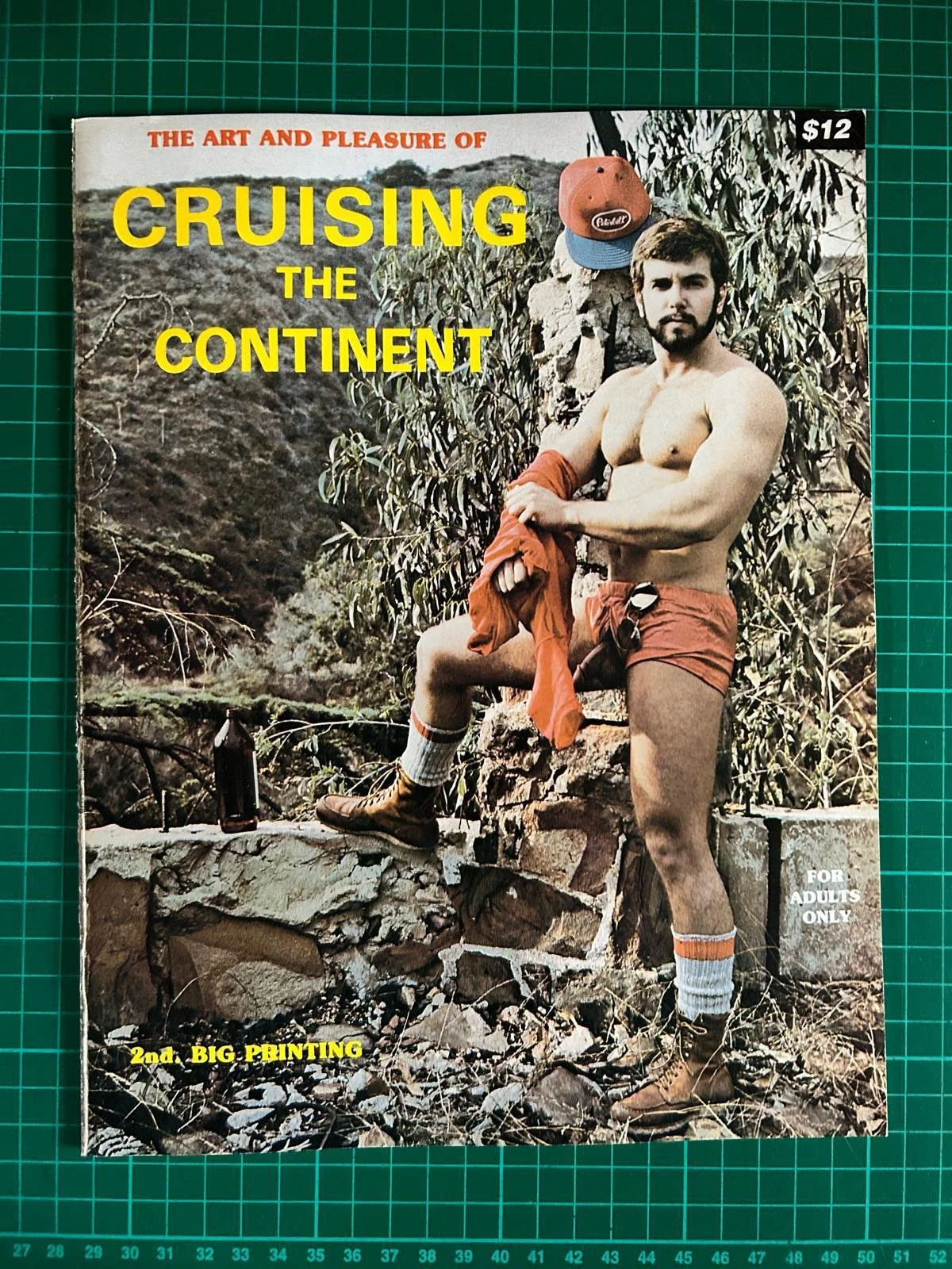 CRUISING TRHE CONTINENT