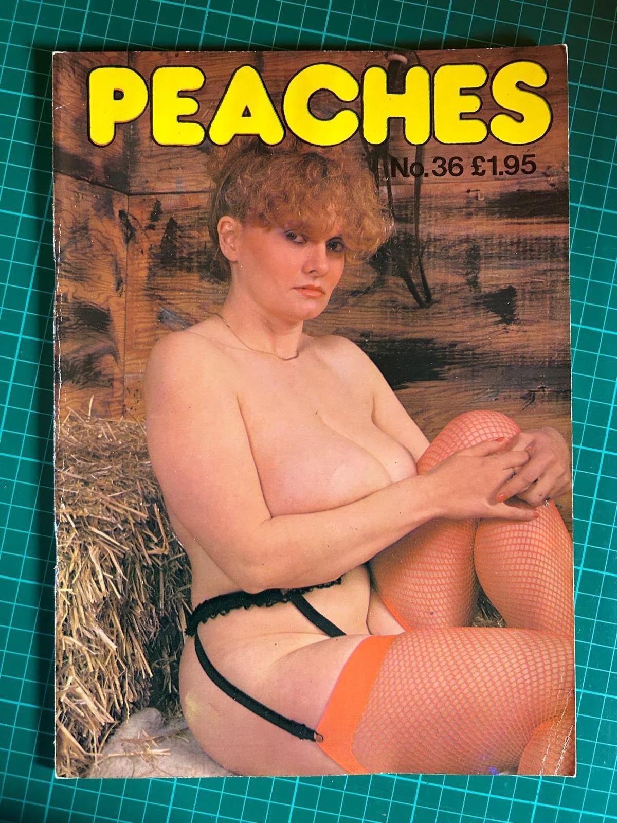 PEACHES   BIG BOOBS !!