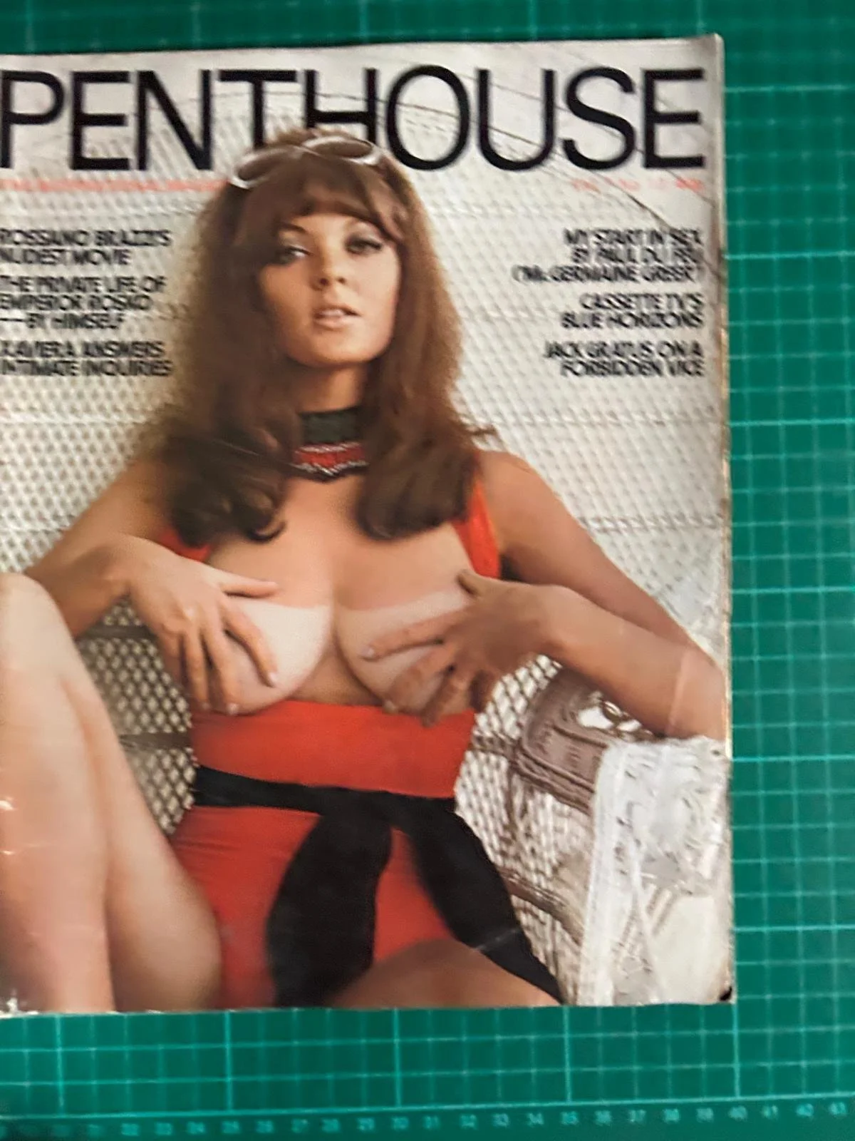 PENTHOUSE  slightly damaged but all there !