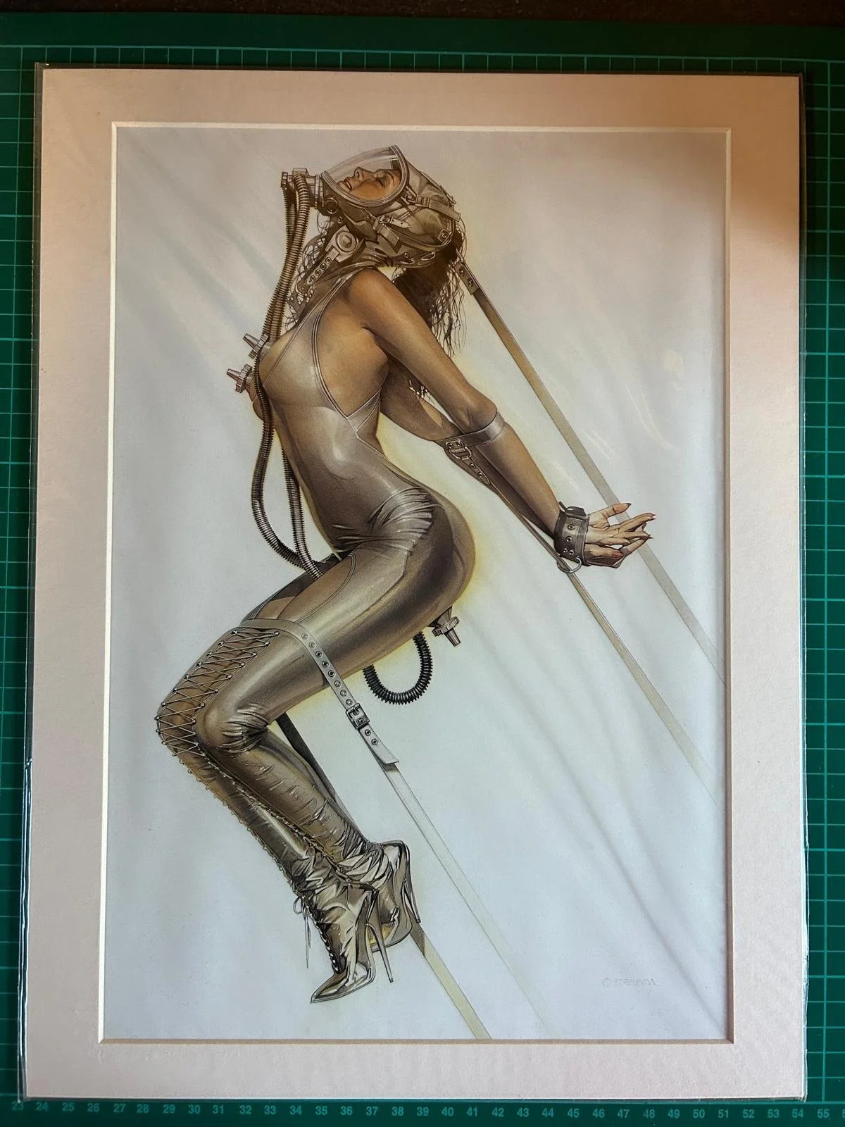 MOUNTED PRINT