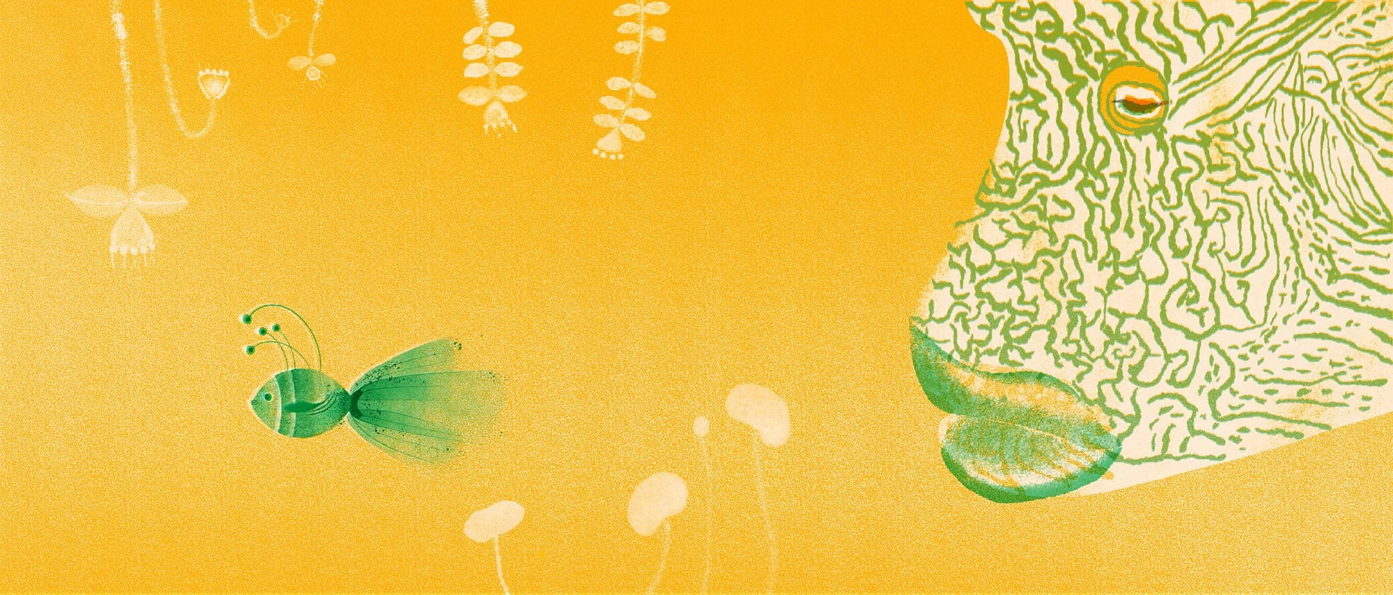 windy_little none web3 - windy Zhu.jpg