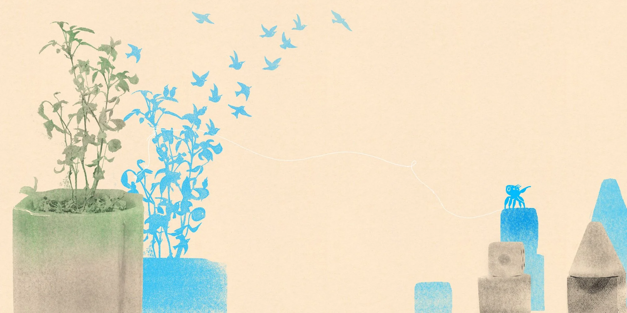 windy_little jumpa web1 - windy Zhu.jpg