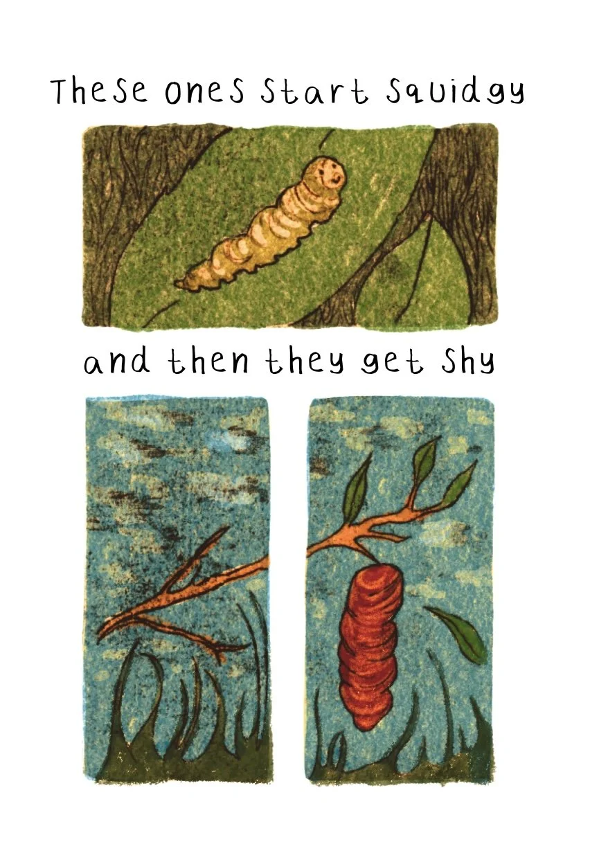 Final bird -5 - Kate McGonigle.jpeg