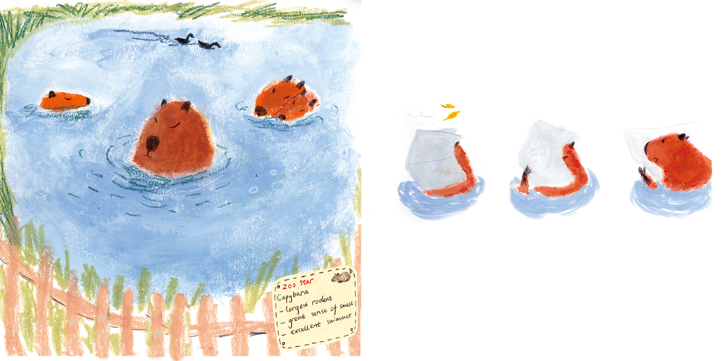 1 - Xue Yang (1).png