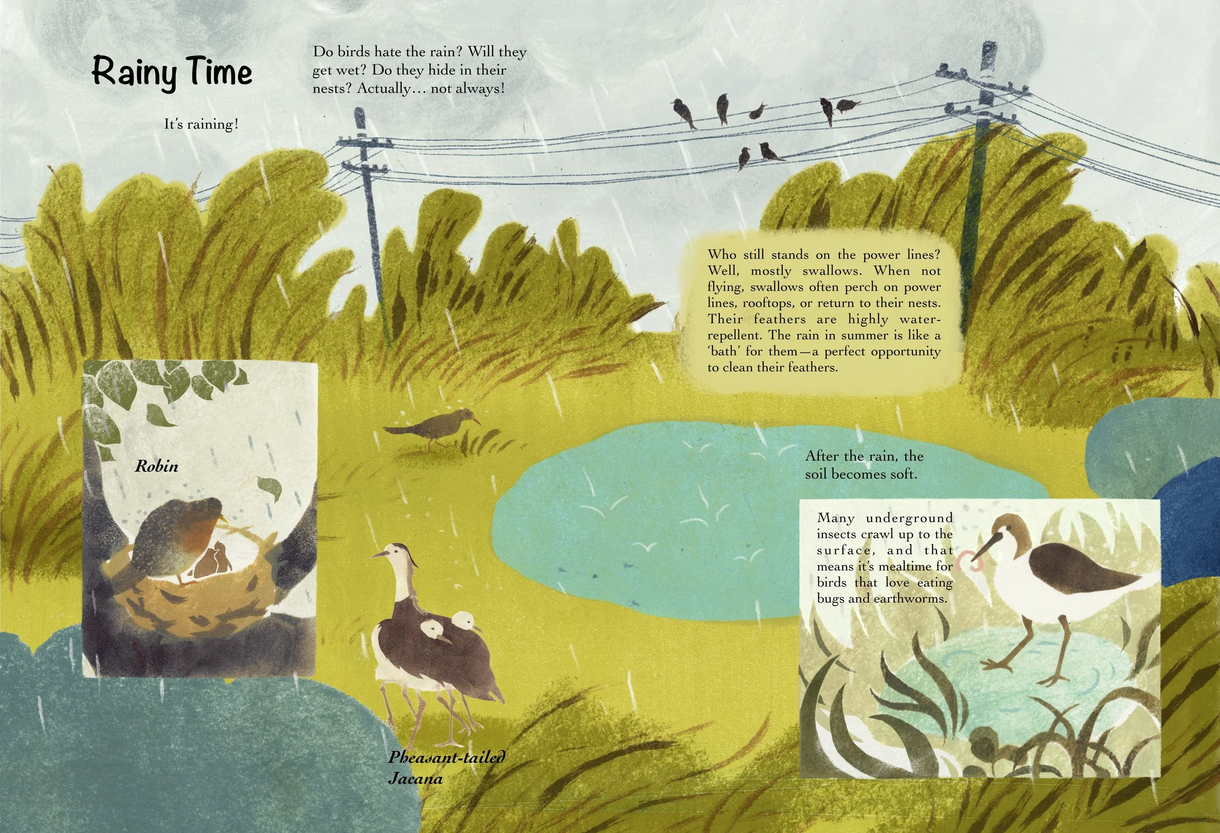 IMG_7975 - Jiang Geyao.jpeg