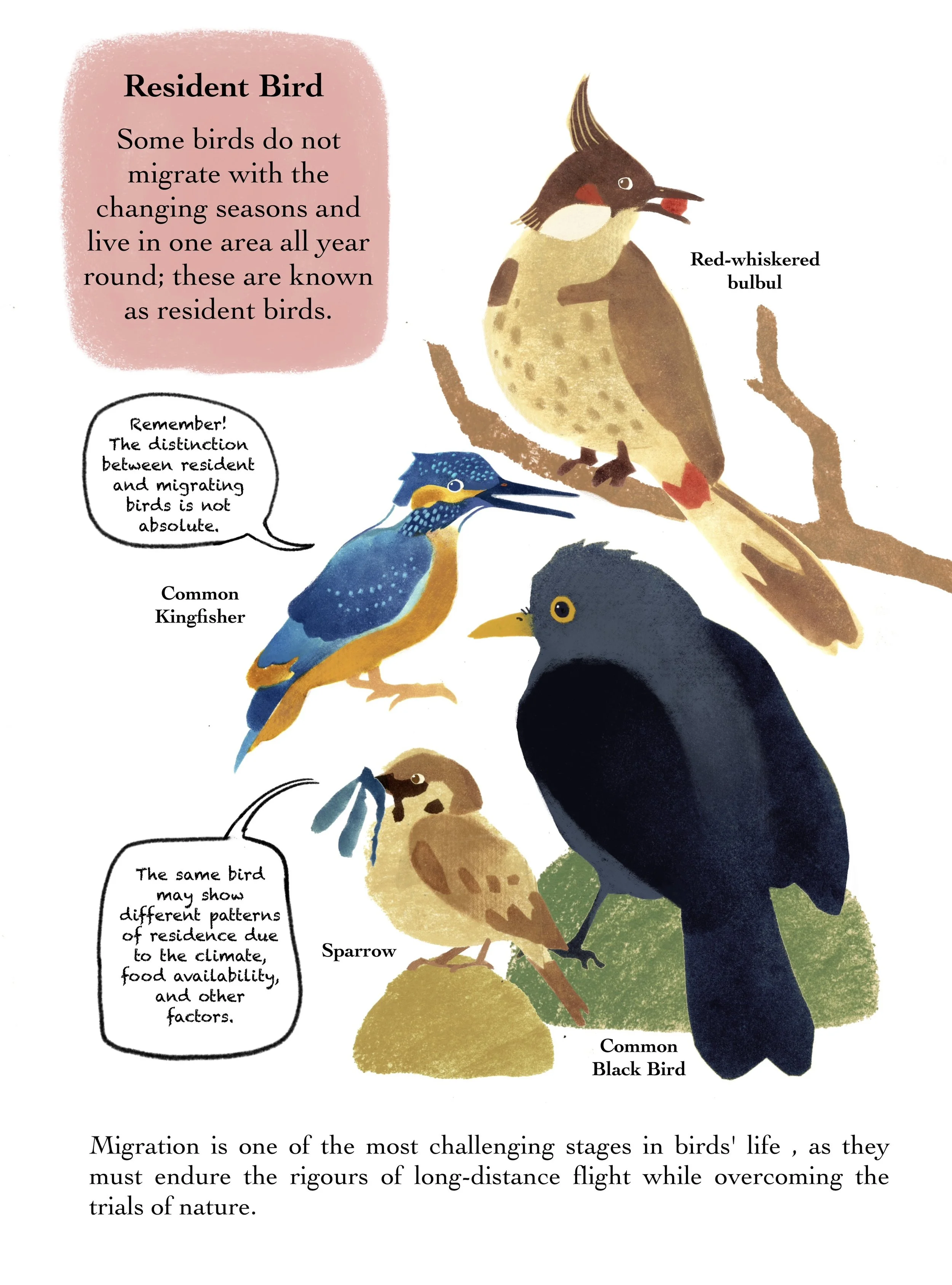 IMG_7976 - Jiang Geyao.jpeg