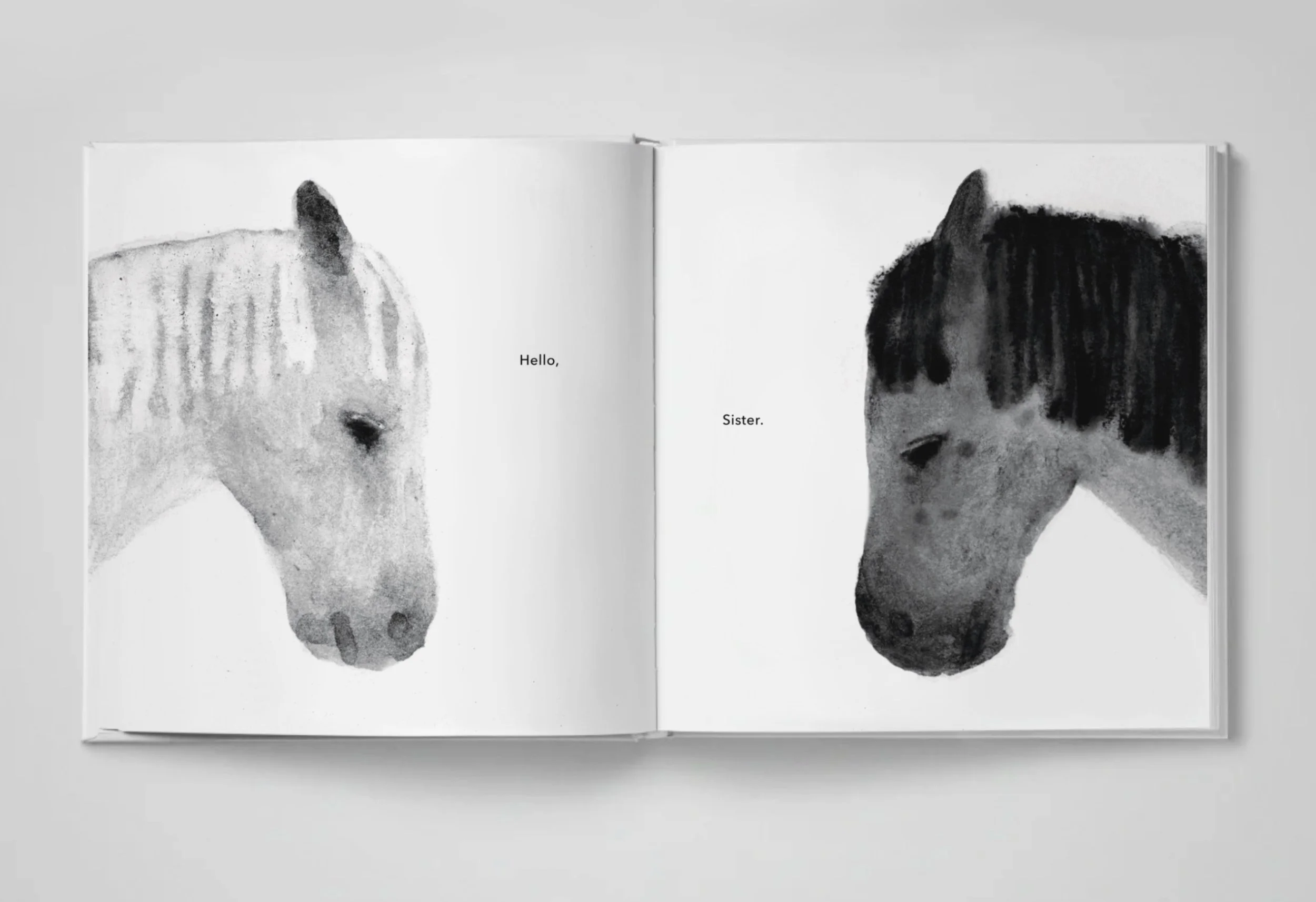 IMG_7356 - Tanqiu Zhang.jpeg