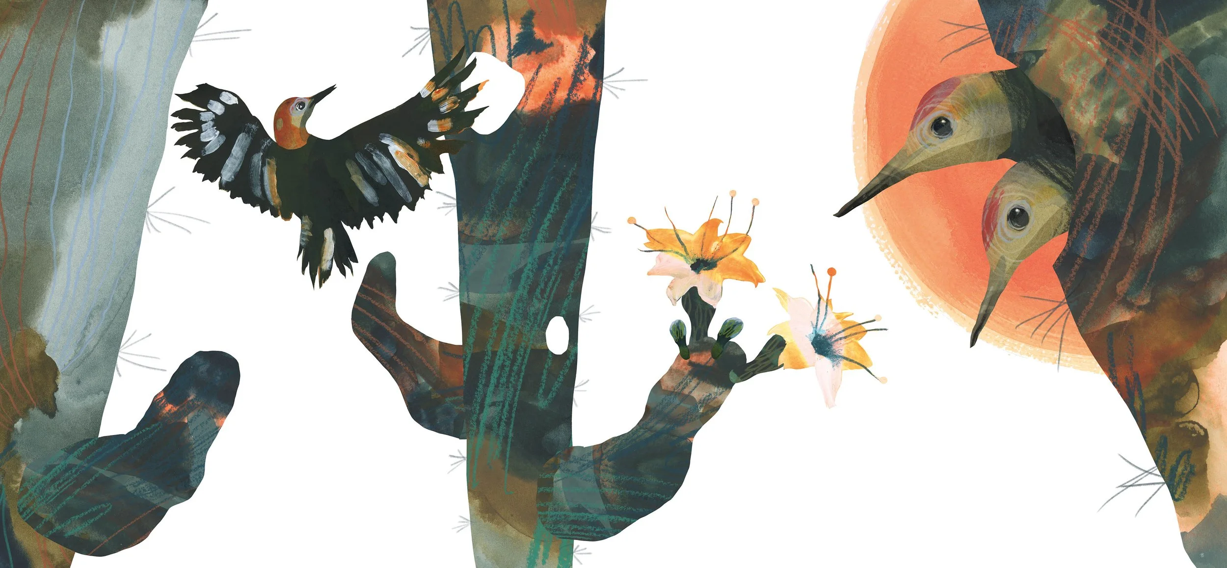 down_desert_woodpecker - Rachel Richards (2).jpg