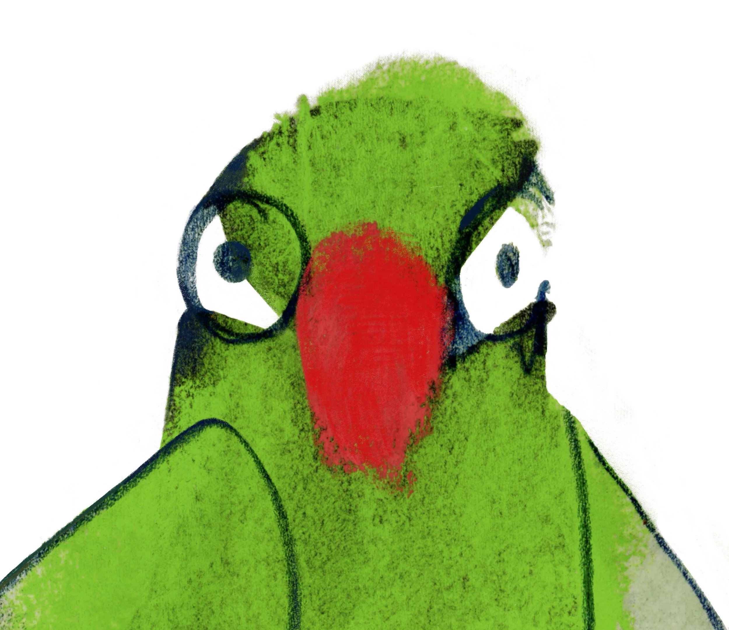 Linda de Canha Catalogue Image.JPG