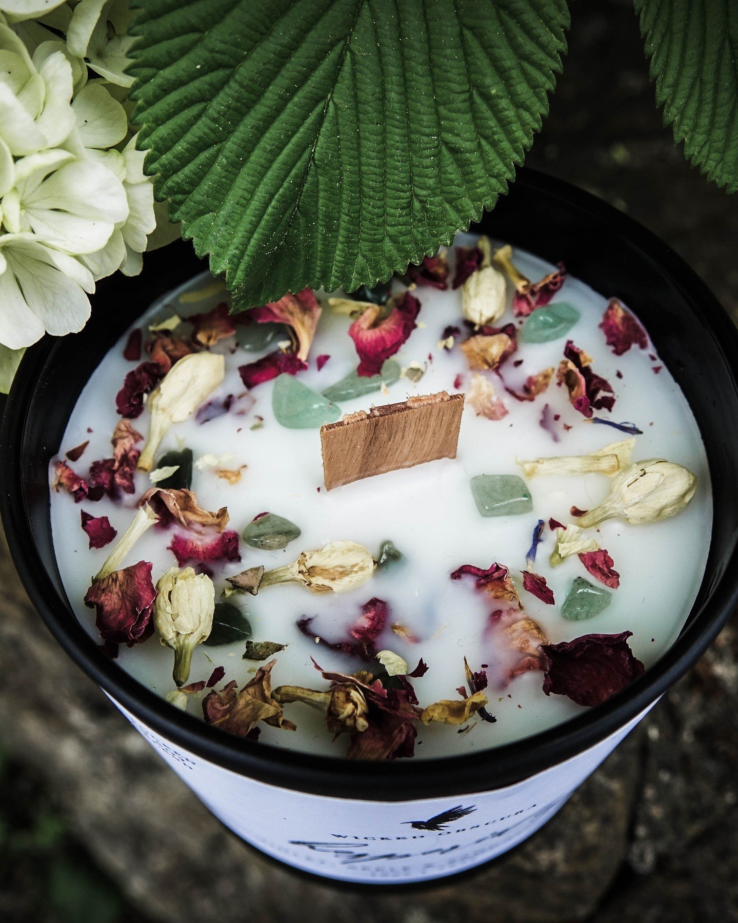 Ever wondered what a goddess&rsquo;s garden smells like?
Enter the world of the Hesperides 🌳✨

This orchard-inspired candle blends crisp apple and garden florals to create a scent that feels like biting into forbidden fruit under a golden sunset.

I