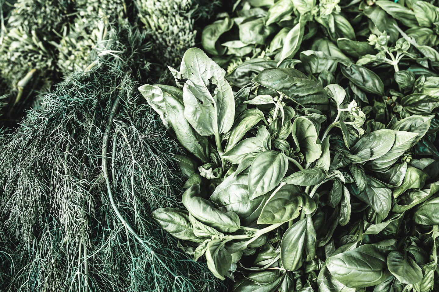 There&rsquo;s nothing quite like the magic of fresh herbs. ✨

Whether you&rsquo;re brewing potions or prepping dinner, fresh herbs bring that extra punch of vibrancy, healing, and sensory delight.

🌱 They hold strong energy
🌼 Smell like spells in b
