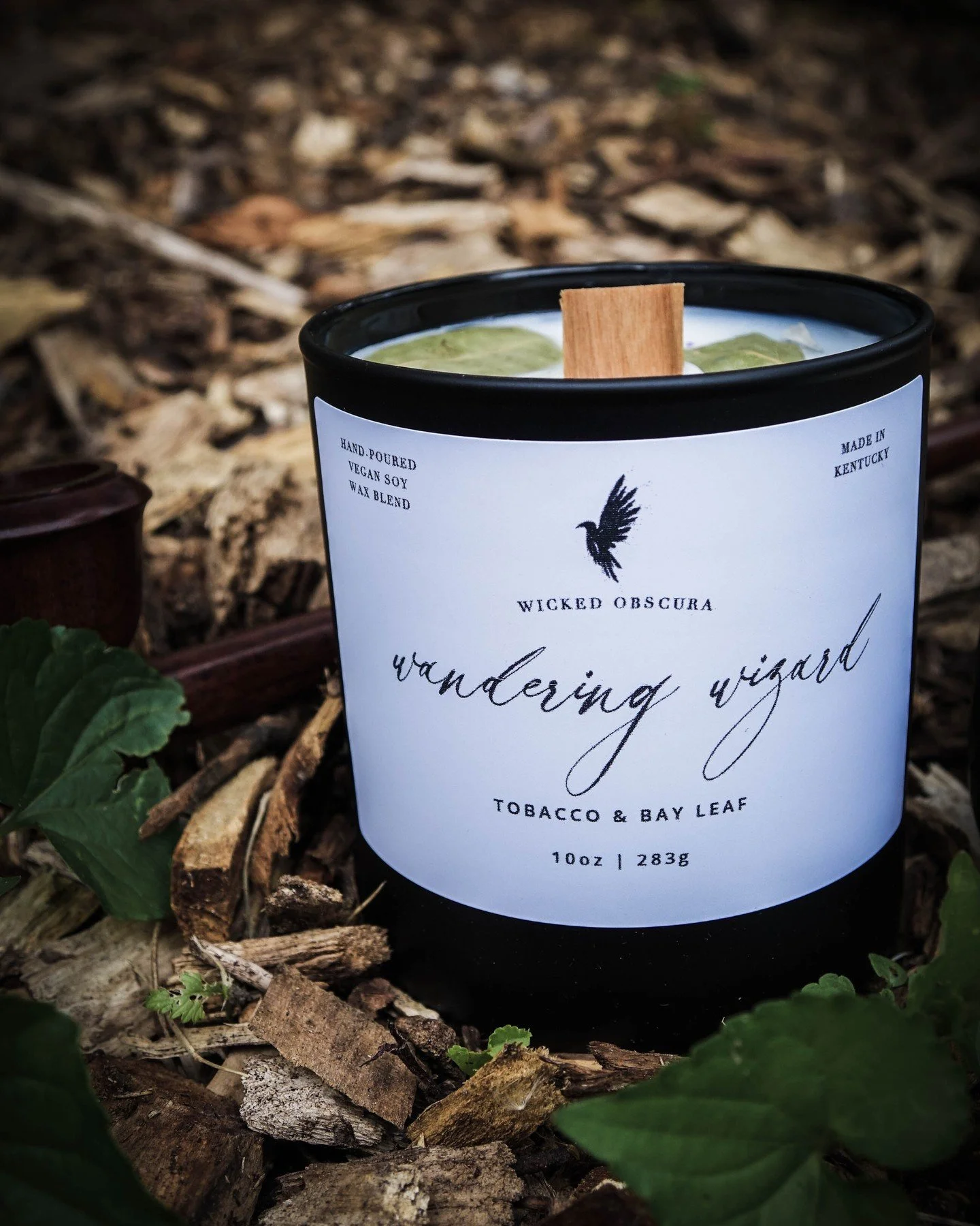 Autumn calls for crackling leaves, well-worn cloaks, and a little wandering wizard energy 🧙&zwj;♂️

Our Wandering Wizard candle smells like stepping into a story, rich amber, old wood, and the faint trace of arcane spells.

Light it up and let your 
