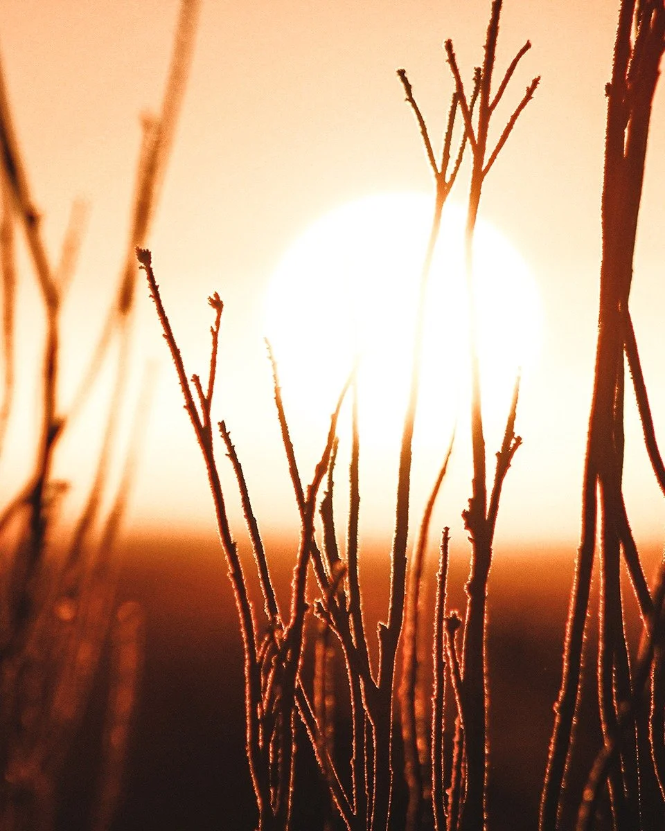 The sun is still fierce, the days still golden, perfect for crafting solar sigils that beam with strength and intention.☀️✨ 

In our latest blog, we&rsquo;re showing you how to draw power from the August sun and weave it into your magic.

Tap the LIN