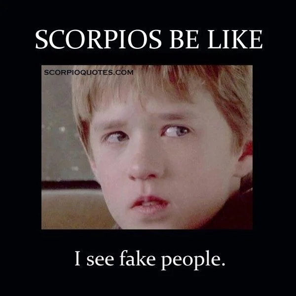 Scorpio season has entered the chat&hellip; and it didn&rsquo;t knock.
It just appeared in the shadows like it owns the place.

This is the season of transformation, intuition, mystery, and a little bit of danger (the fun kind). Dive deep. Cast bold 