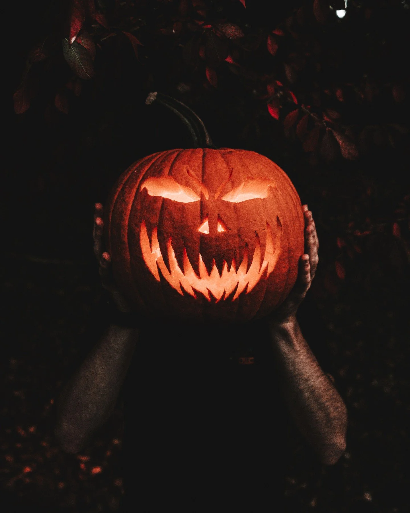 🎃✨ HAPPY HALLOWEEN, WITCHES ✨🎃

The veil is at its thinnest, the spirits are stirring, and the night belongs to the strange and magical.

Whether you're casting spells, lighting candles, haunting your house, or just vibing with your familiar, we ho