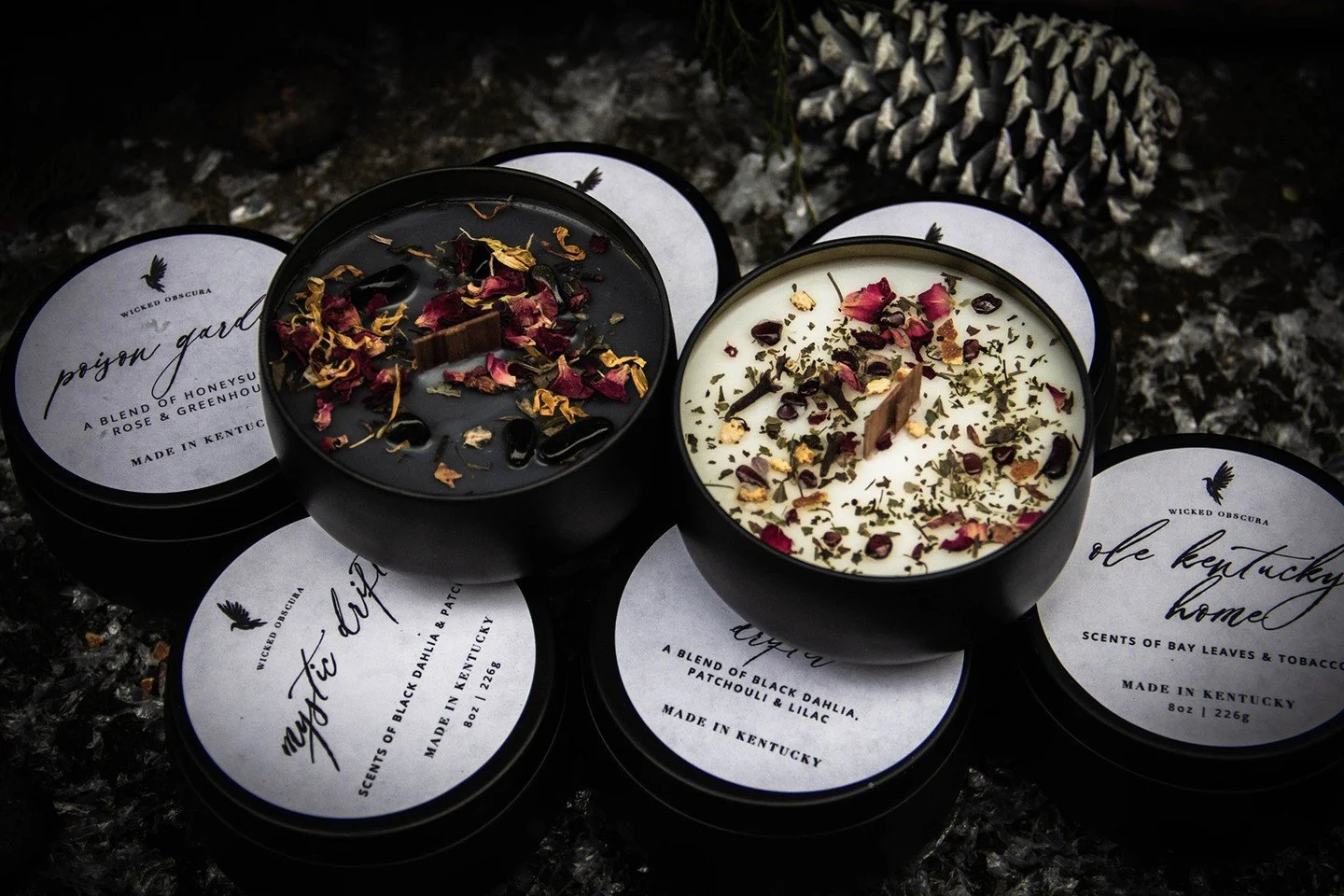 Holiday gifting made magical. ✨🎁

A Wicked Obscura Gift Card is perfect for the friend who loves candles, spellcraft, cozy witch vibes, or choosing their own treasures.

Zero stress. Maximum enchantment.

Find it on our website.

#HolidayGifts #Witc