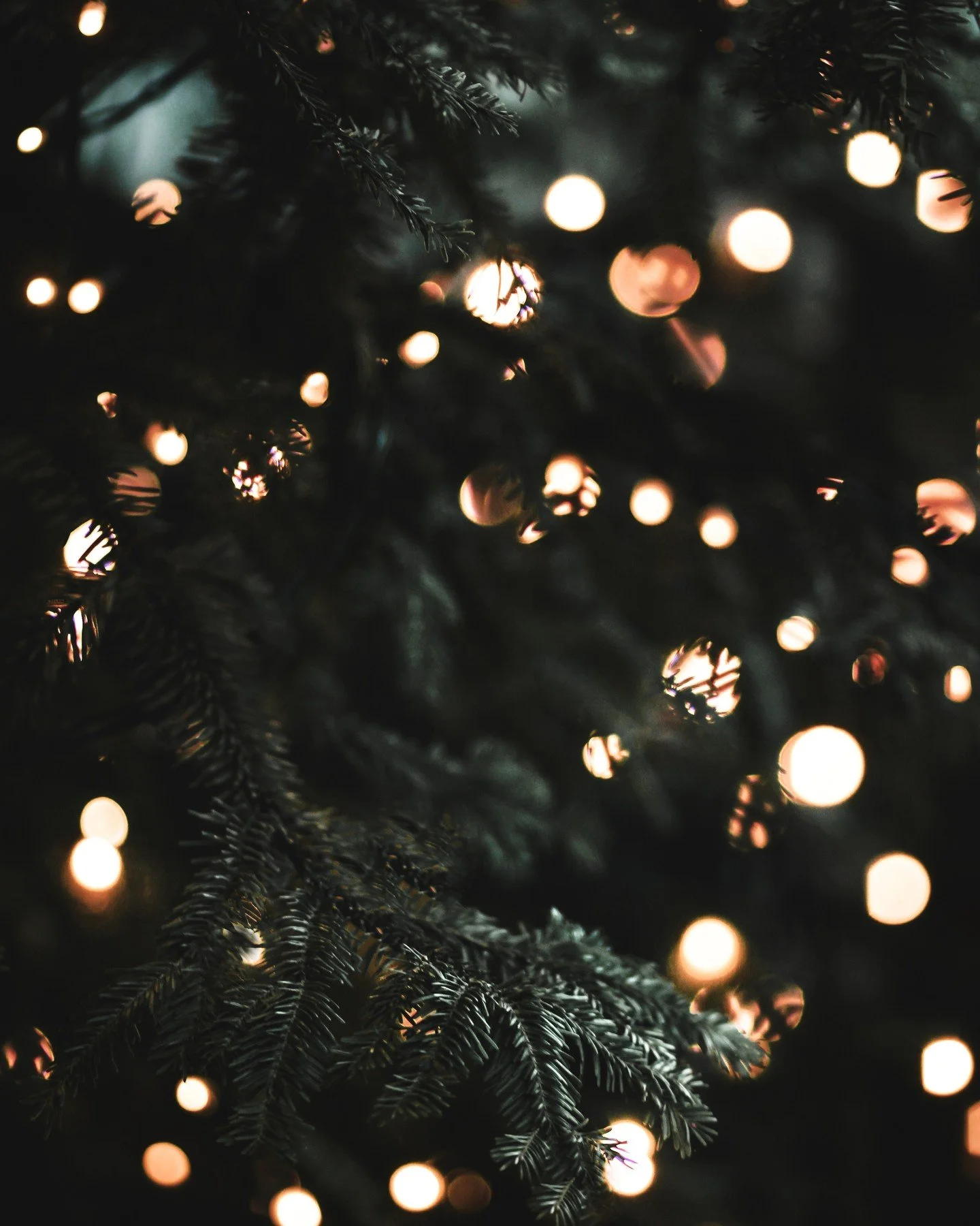 A little holiday reminder ✨

Place your orders by 12/14 before the shop closes for the season.

If you need a last-minute gift, a stocking stuffer, or a cozy candle for yourself, now is the perfect time to grab it.

#WickedObscura #HolidayMagic #Shop