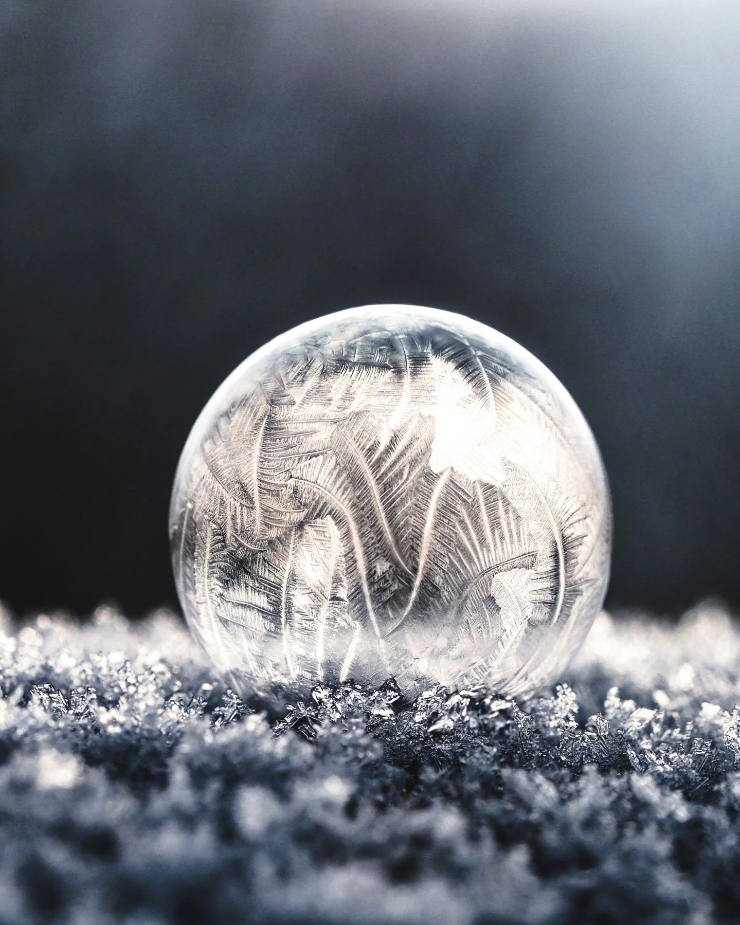 Winter is not asking you to bloom.
It is asking you to rest.

This season is a sacred pause. A time for quiet, inner tending, and gentle preparation. What you nurture now beneath the surface will become the seeds you plant when spring returns.

Embra