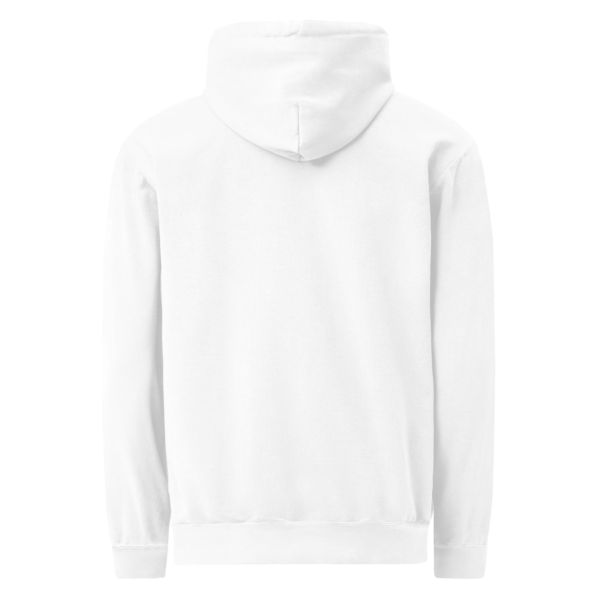 unisex-garment-dyed-hooded-sweatshirt-i-comfort-colors-1567-white-back-699d8c1d0aa49.jpg