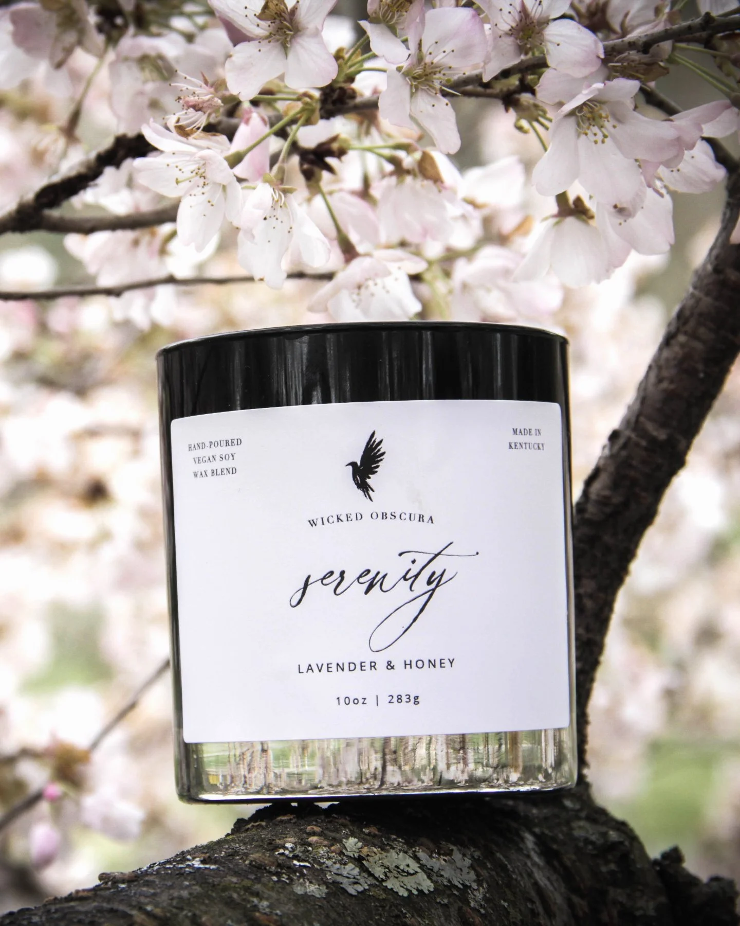 Some evenings are meant for slowing down. 🕯️

The Serenity Candle blends lavender and honey into a scent that feels calming, warm, and deeply comforting. Lavender softens the mind while honey adds a subtle warmth that makes a space feel safe and gro