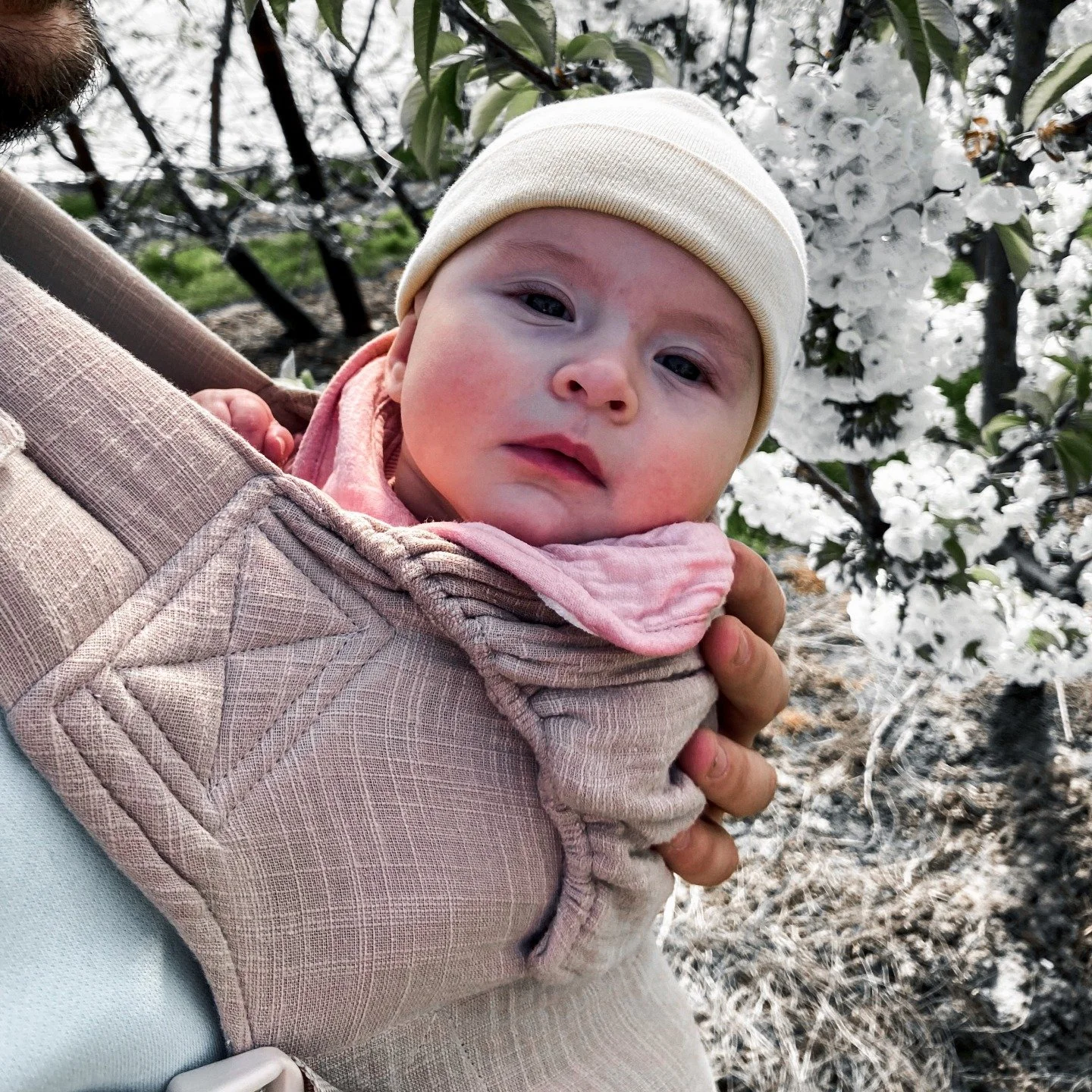 Exploring blossoms with my little miss. 🌸✨

Small hands reaching for petals.
Stopping for every flower.
Turning a simple walk into something slower, softer, more intentional.

Spring feels different through her eyes.
More present.
More magical.

A r