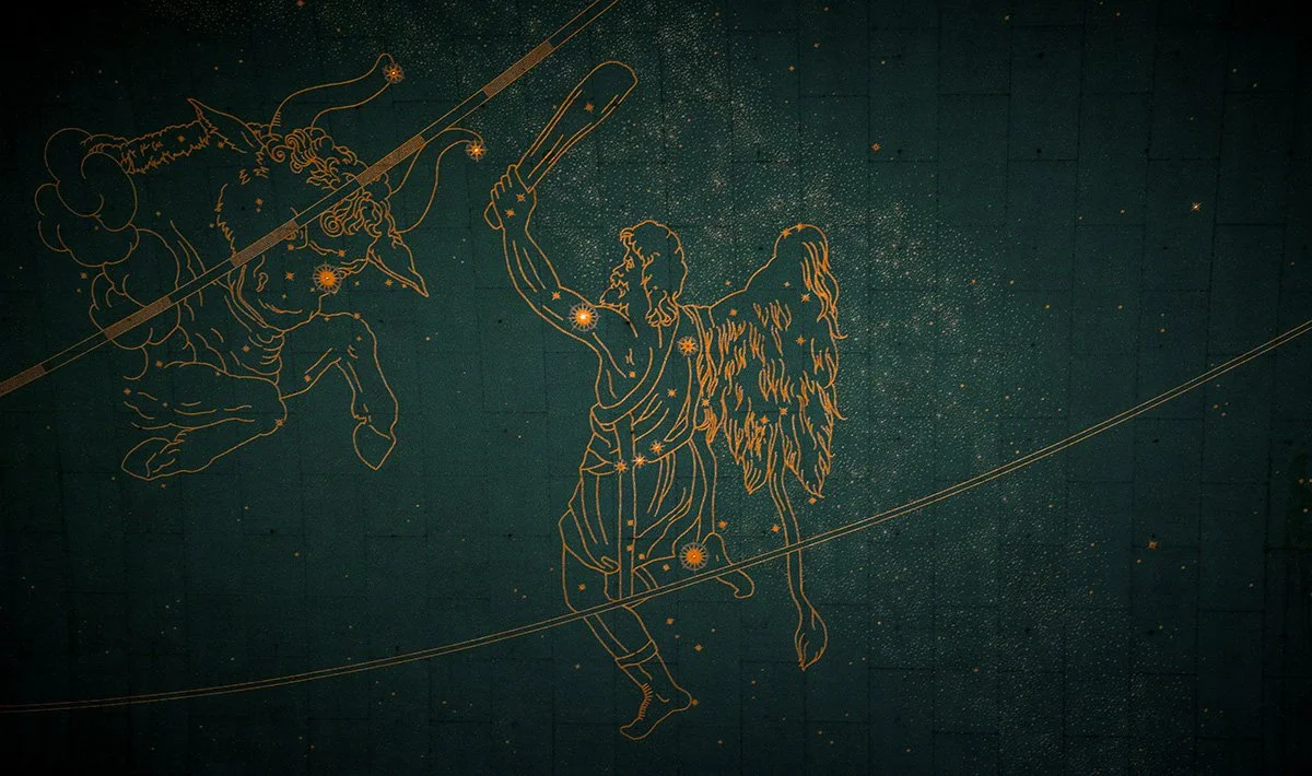 Rooted and Rising: Building Stability After Aries Season