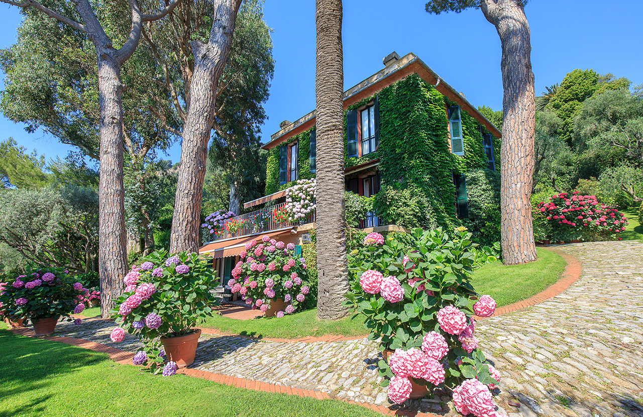1410_Pedroni_WebXXL-01.jpg