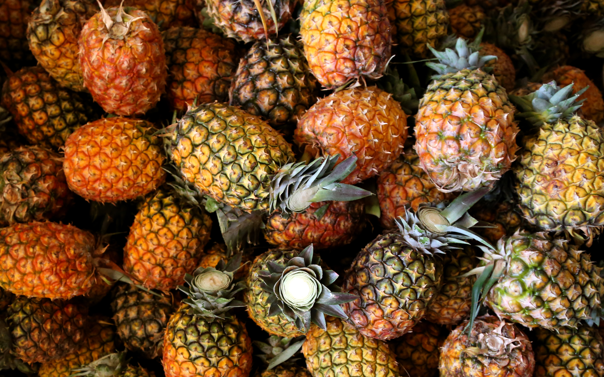 pineapples.png