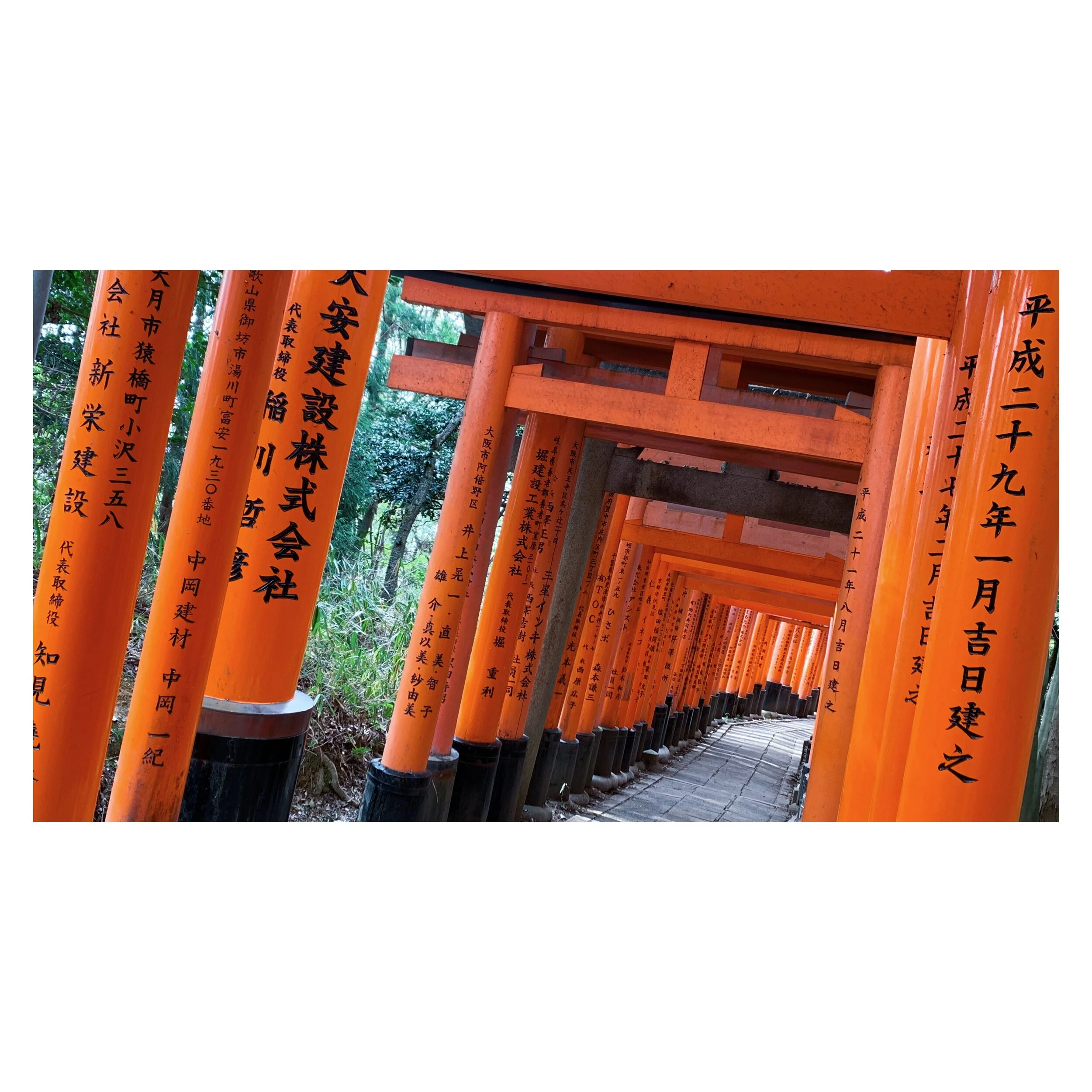 8BA095B2-C6AB-444D-93D0-2E43800A46F0 2.JPG