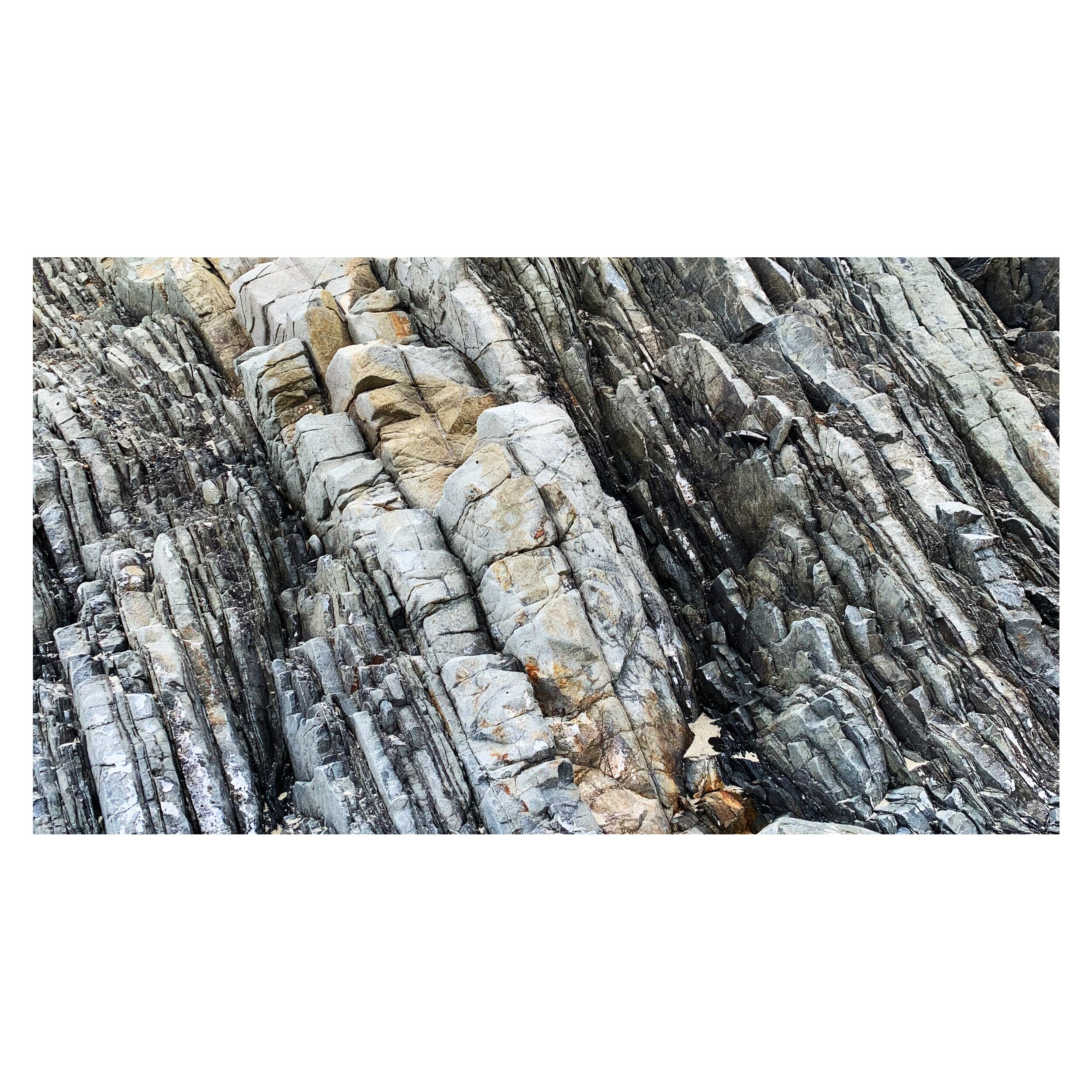 D3CB5E79-457A-4372-955F-0B0019294D9E 2.JPG