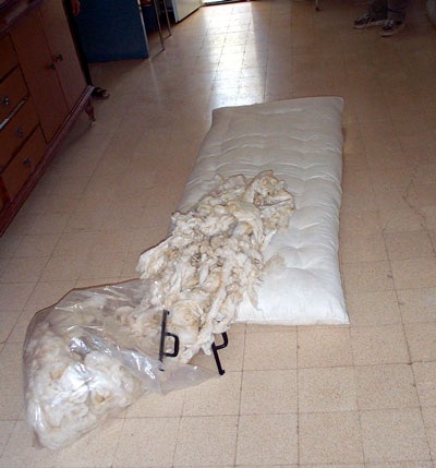 Wool for making mattresses