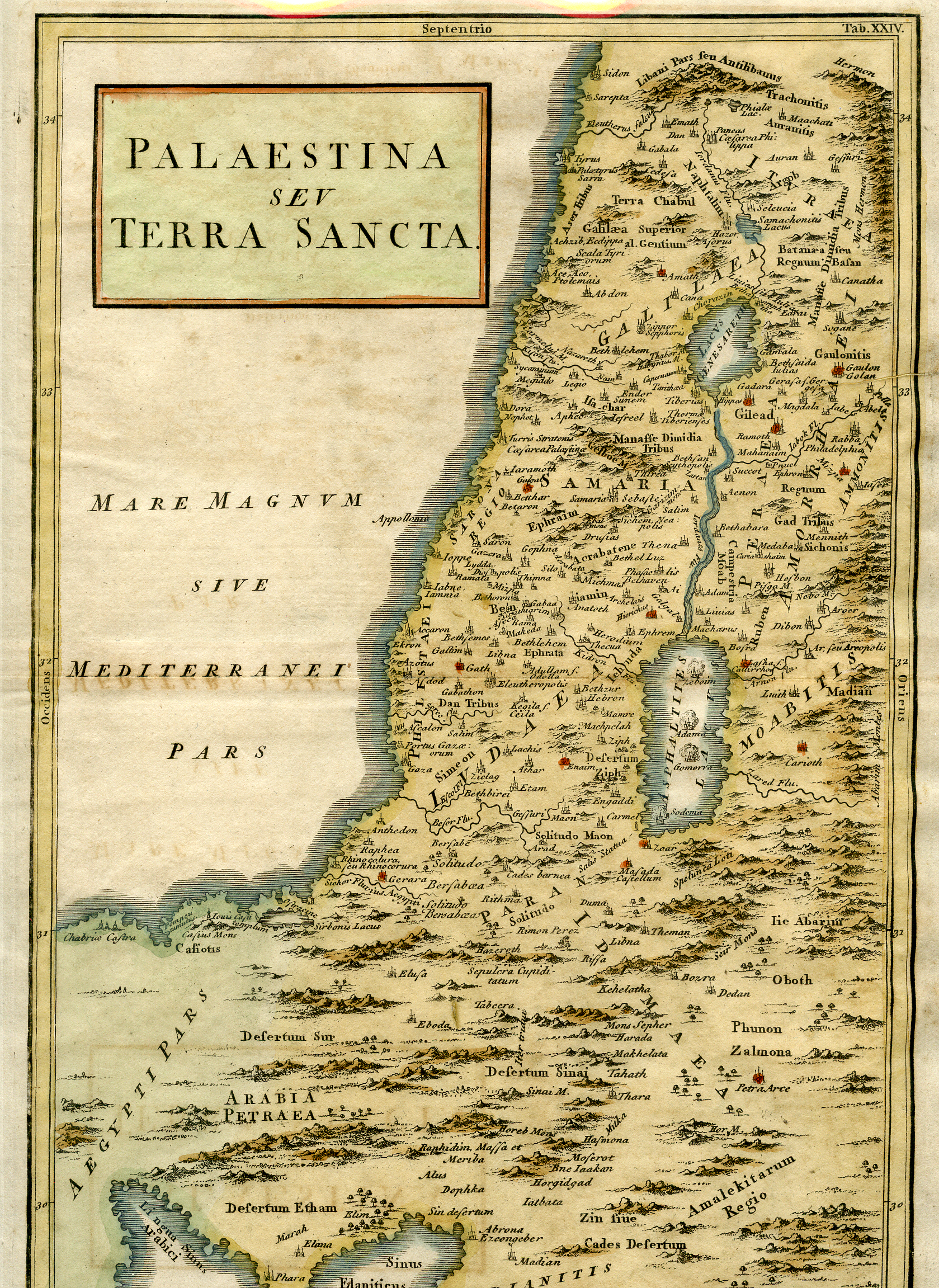1780 Palaestina