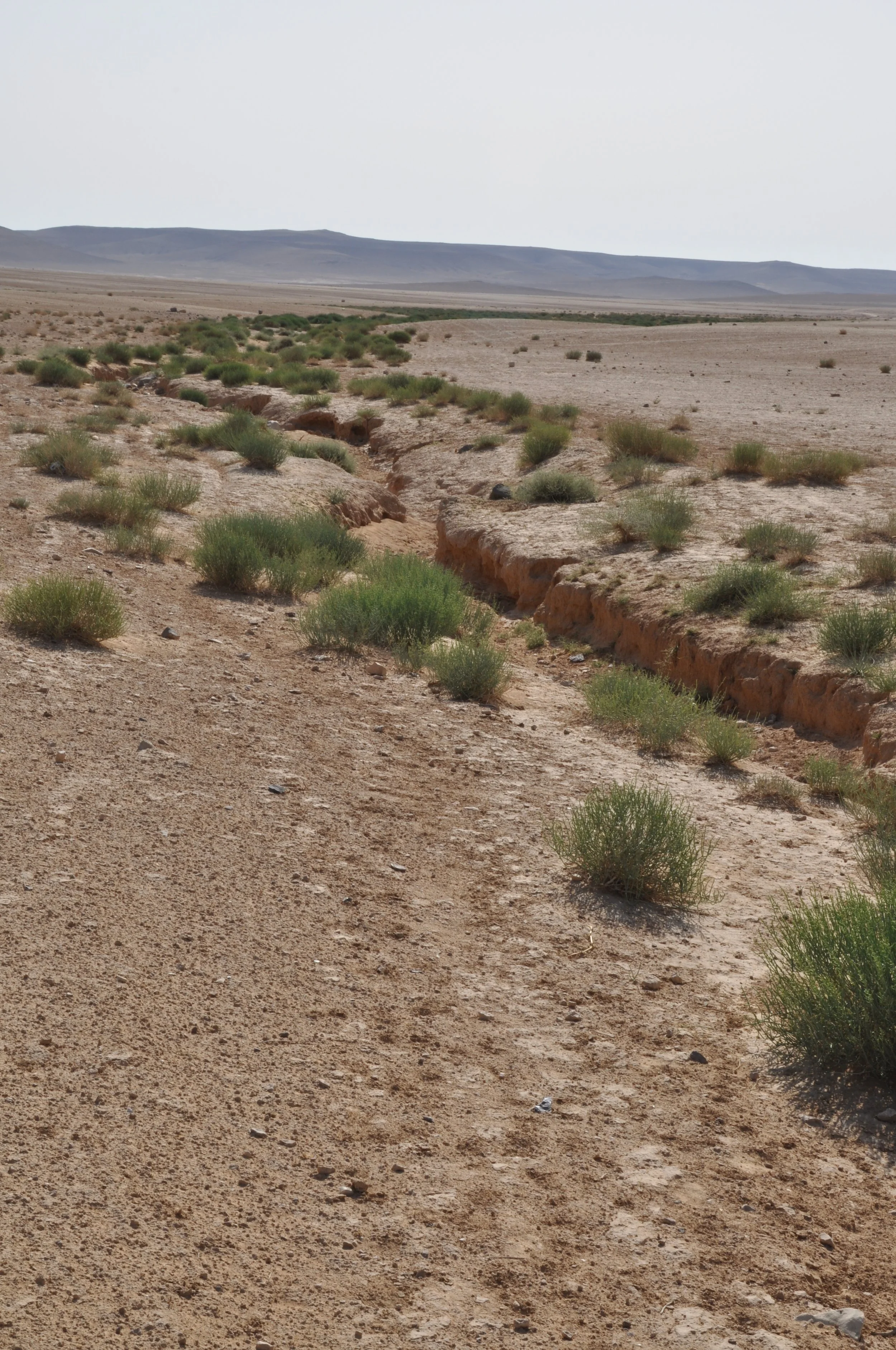 KRP2011_0140.JPG