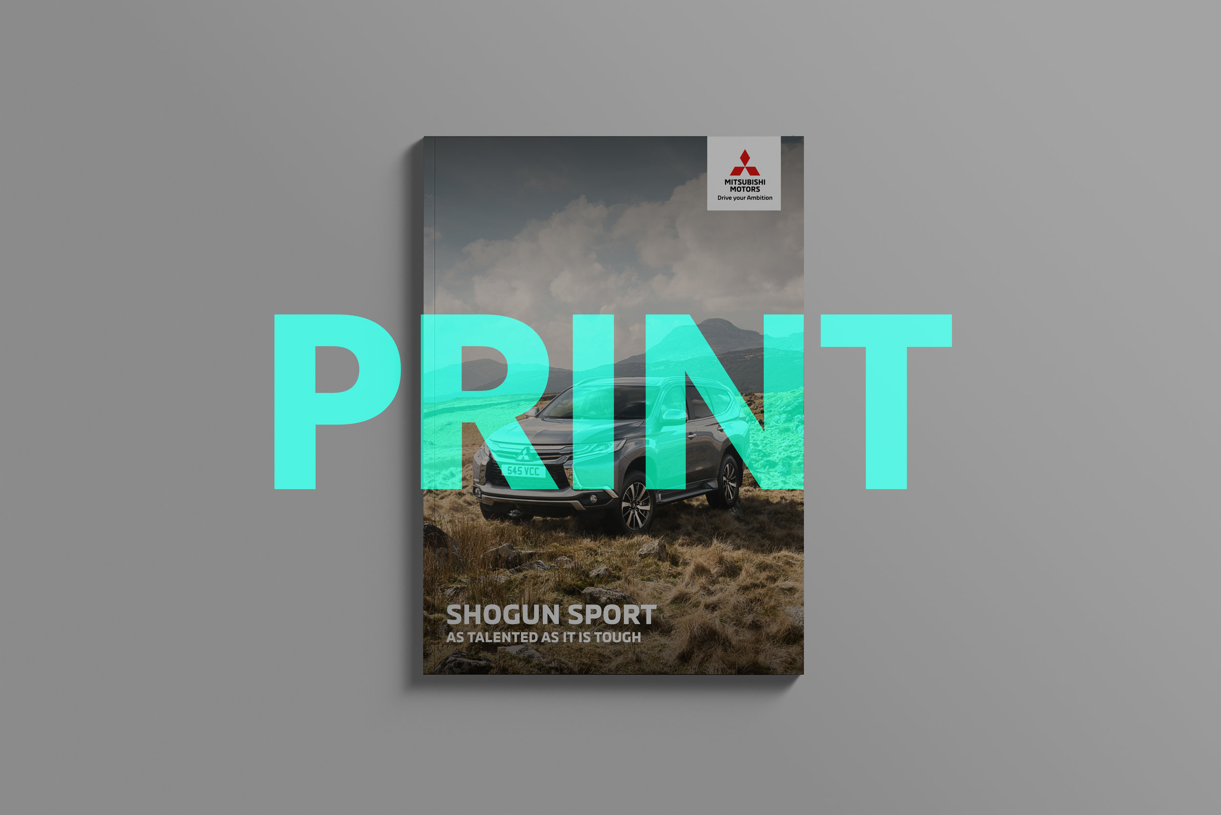 Print.jpg