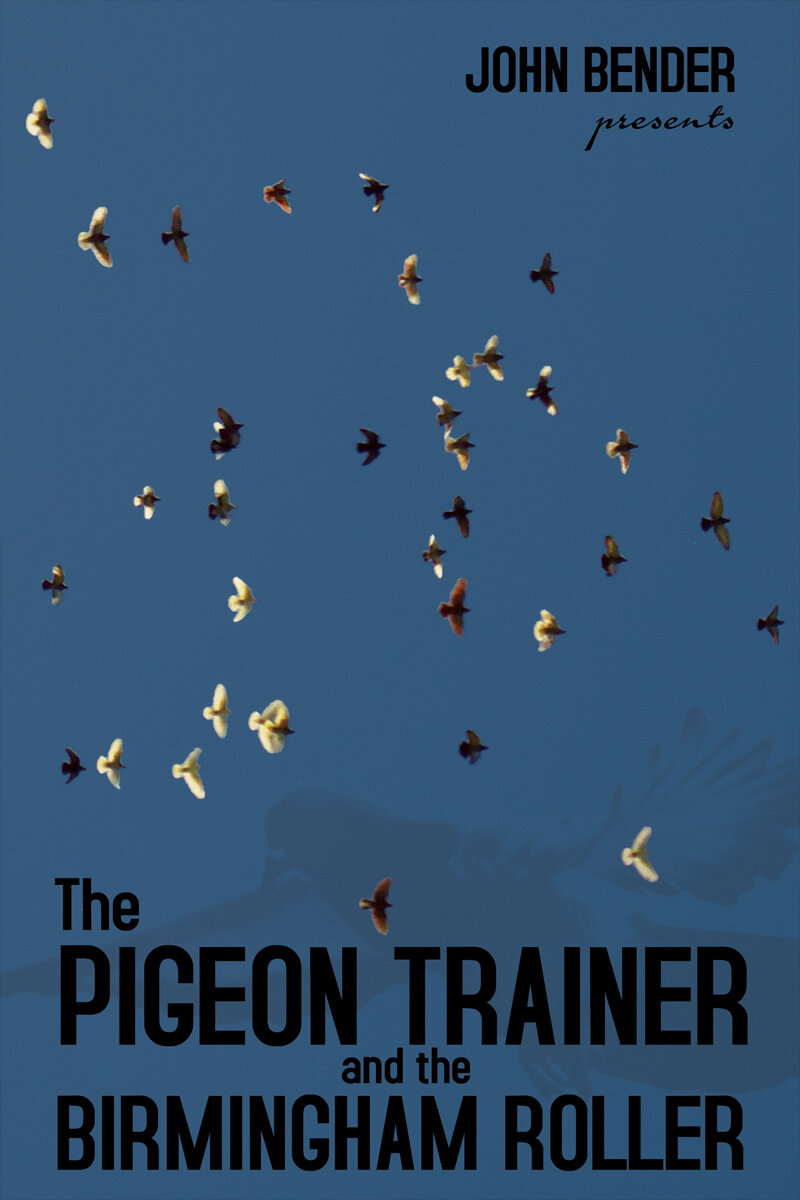 50-pigeon-trainer.jpg