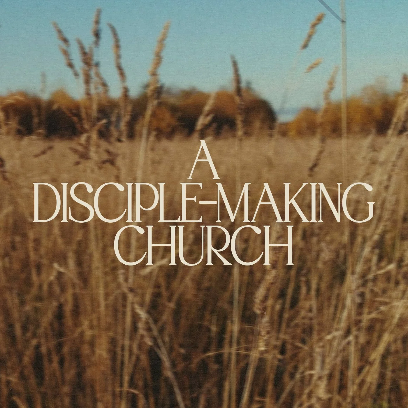 A DISCIPLE-MAKING CHURCH