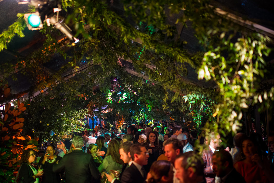 Four Seasons Pop-Down