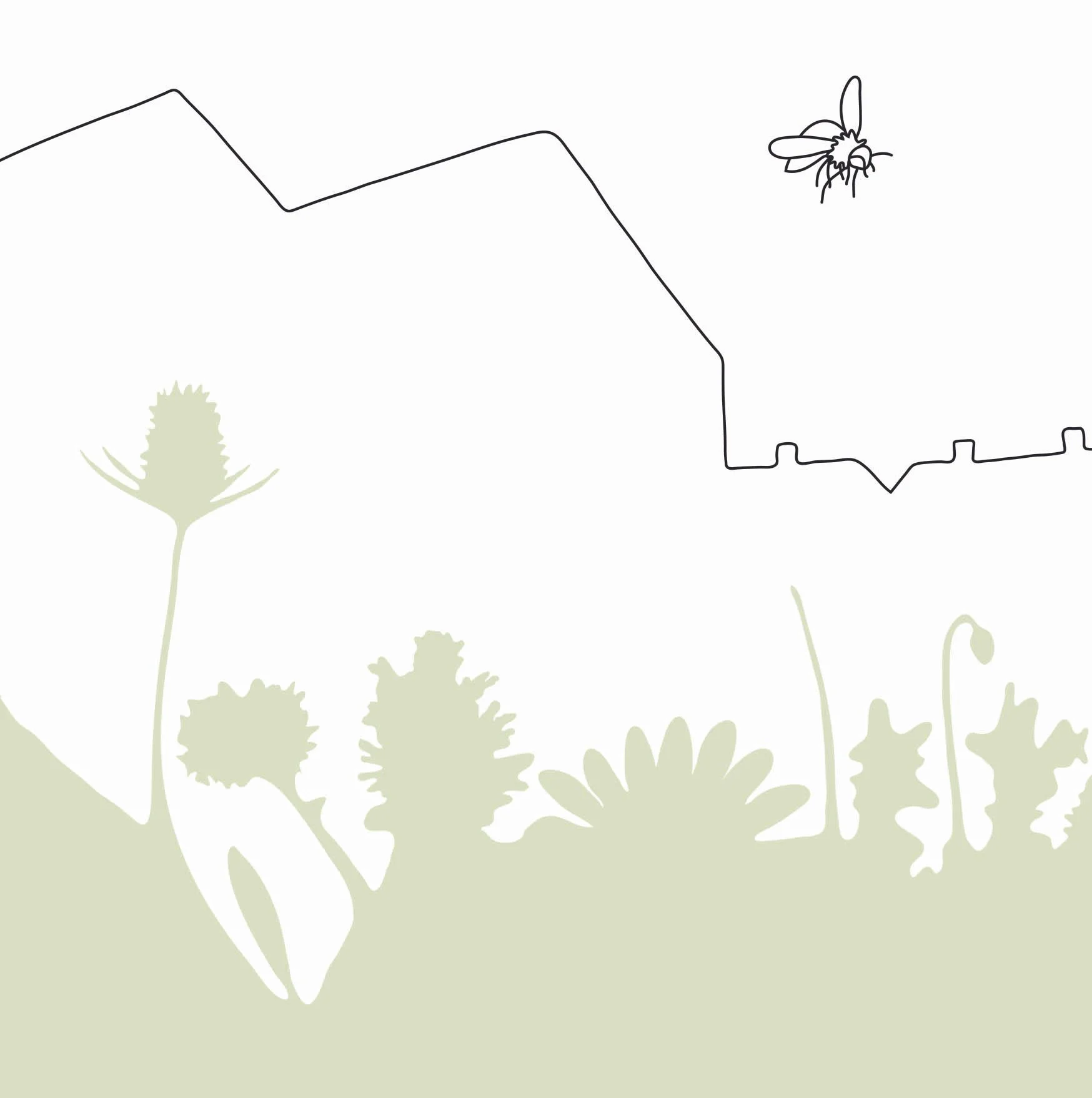 home habitat hope book illustrations