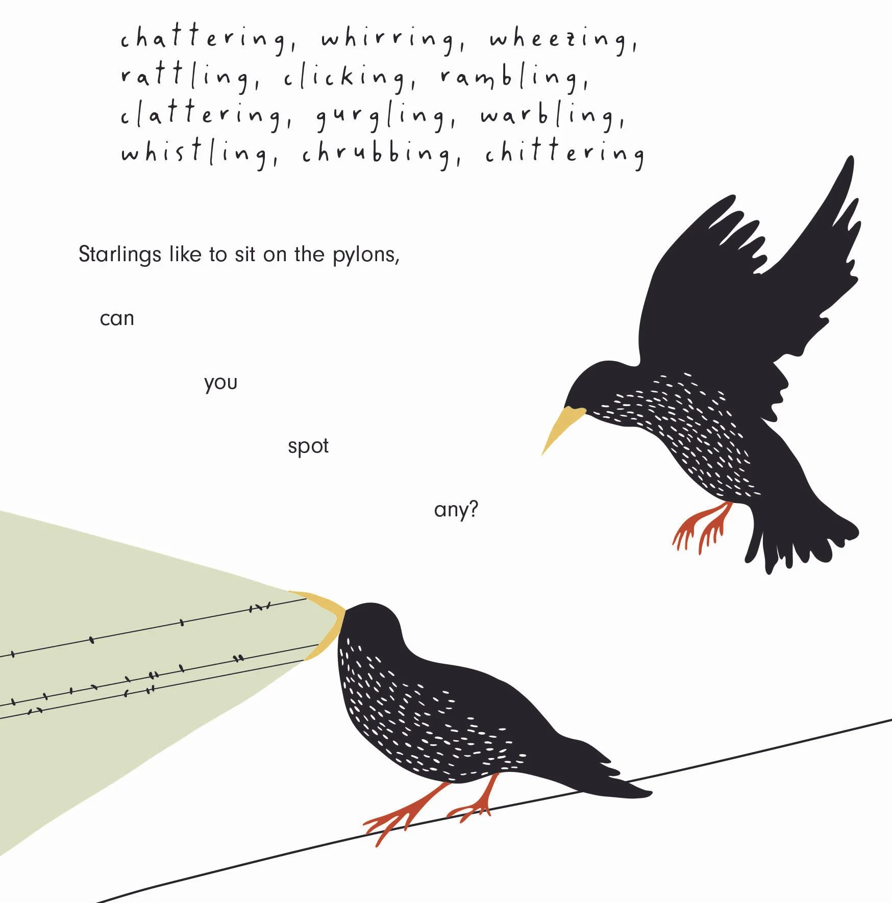 home habitat hope book illustrations