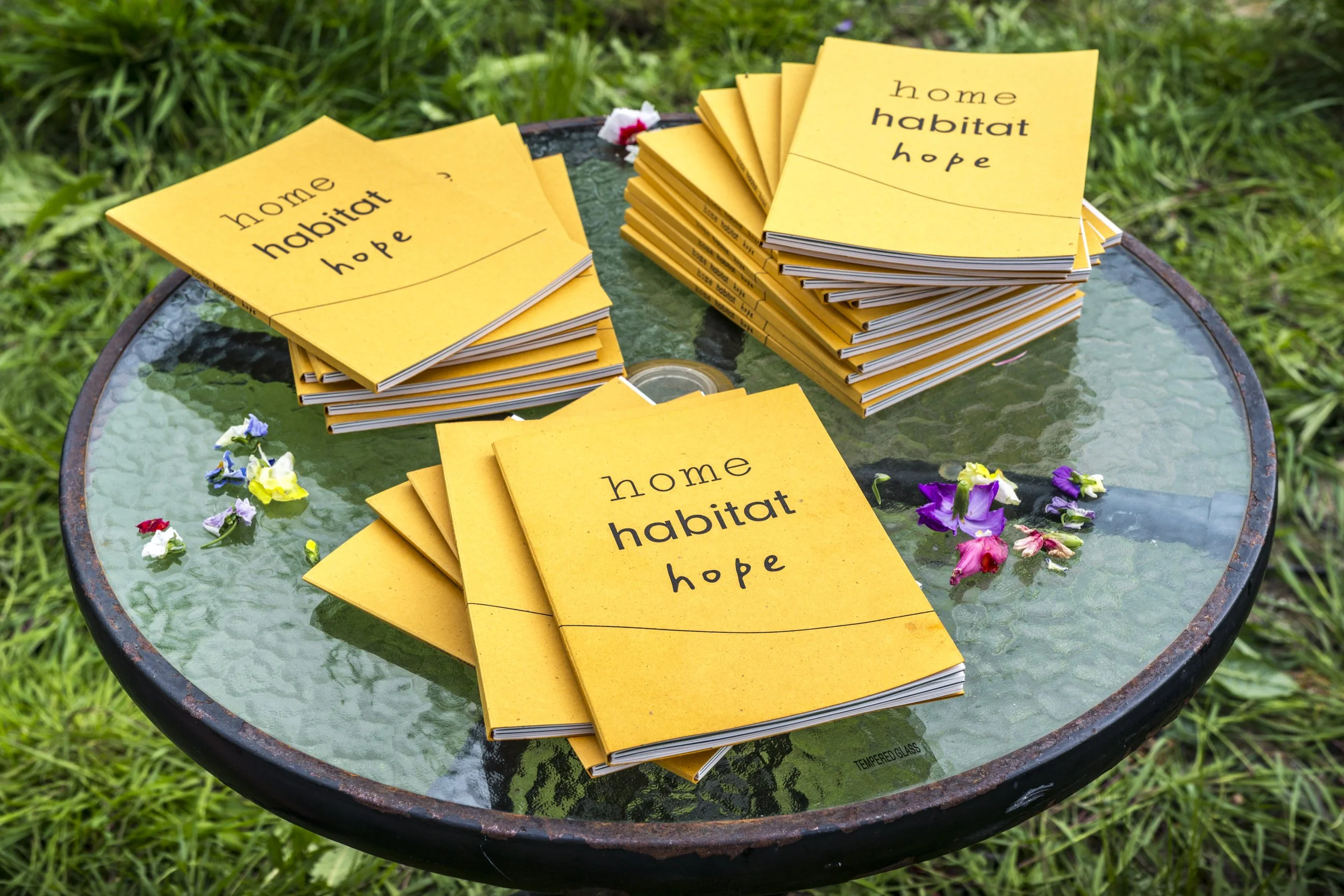 Home Habitat Hope Launch 108 April 2026 Jo Hounsome Photography.jpg